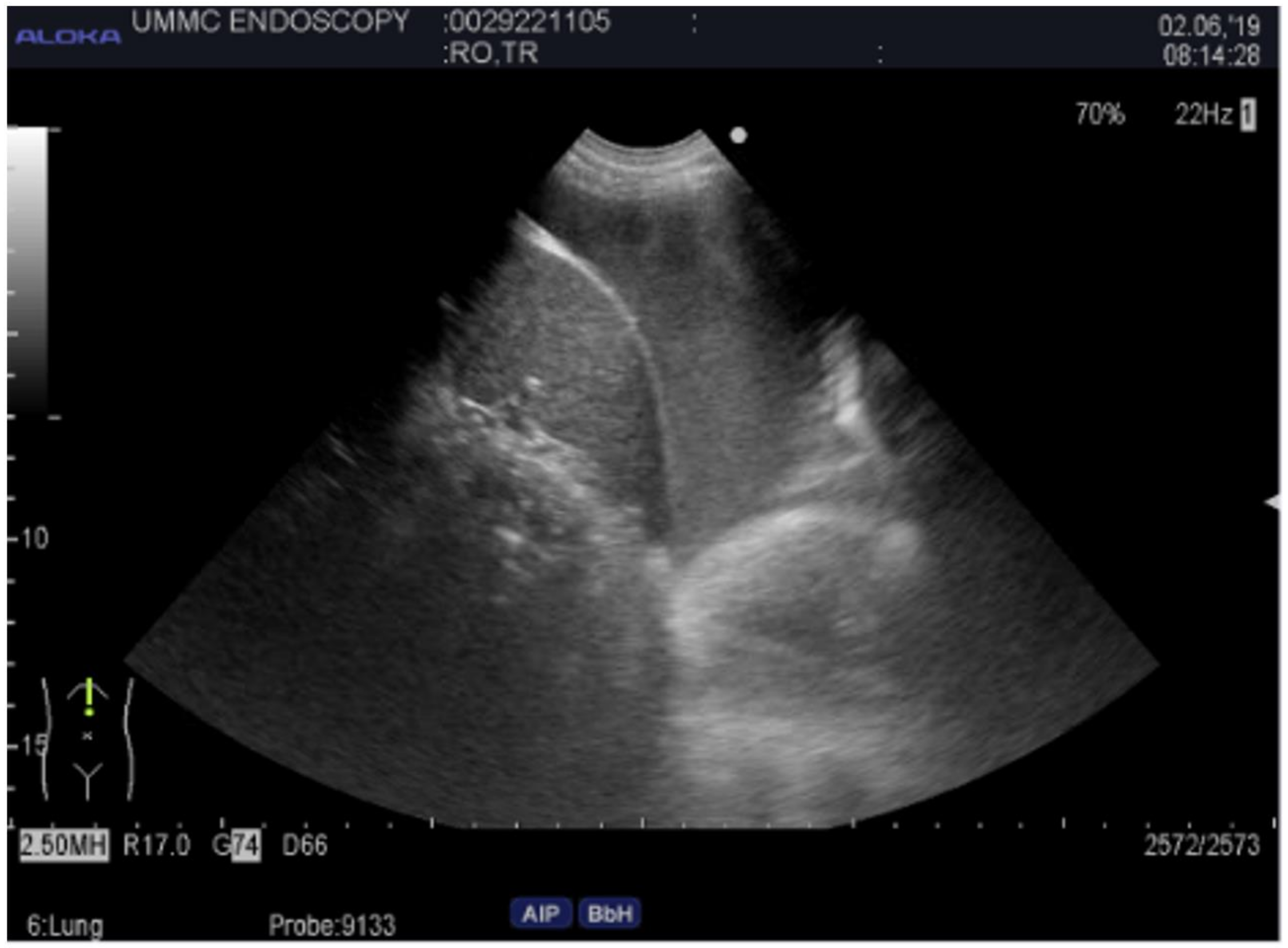 Diagnostics 14 01604 g003