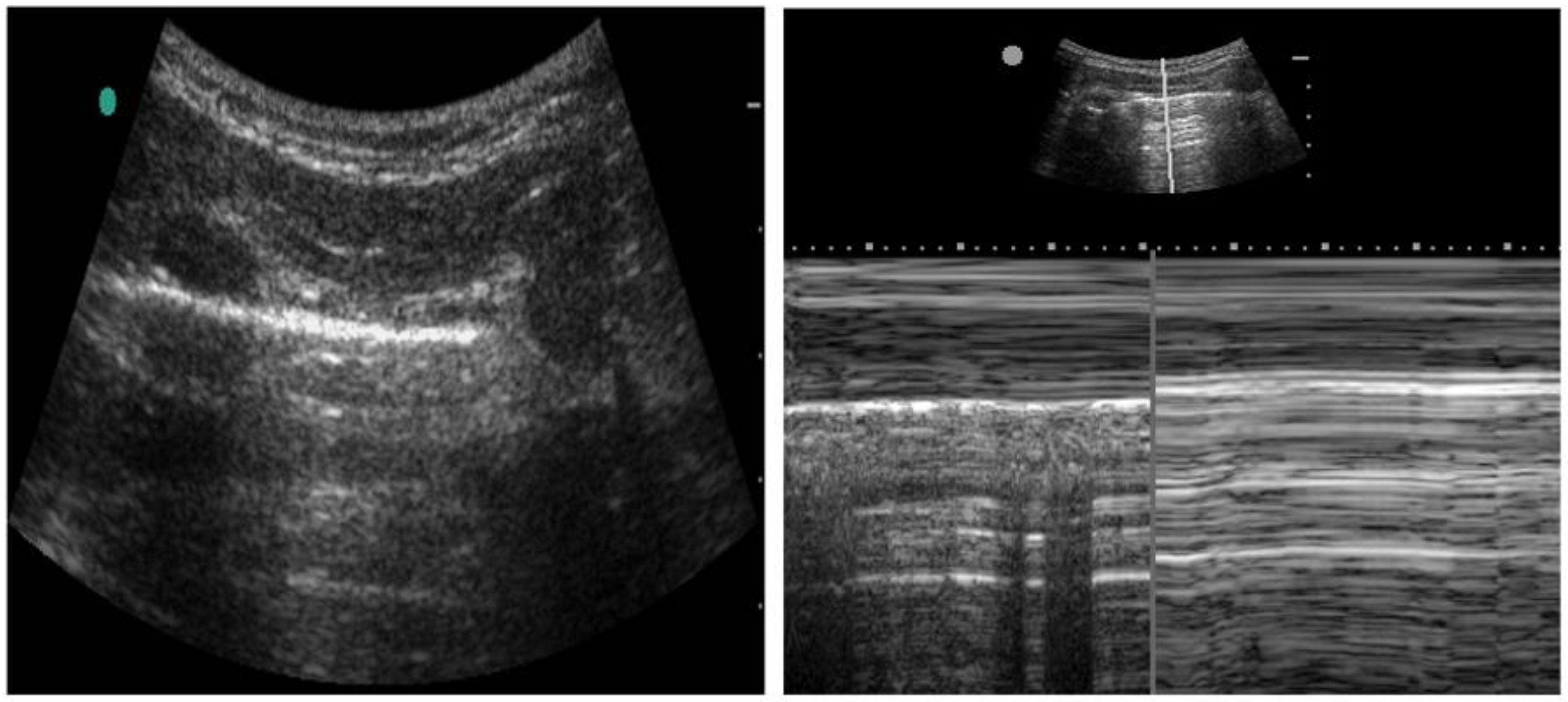 Diagnostics 14 01604 g004