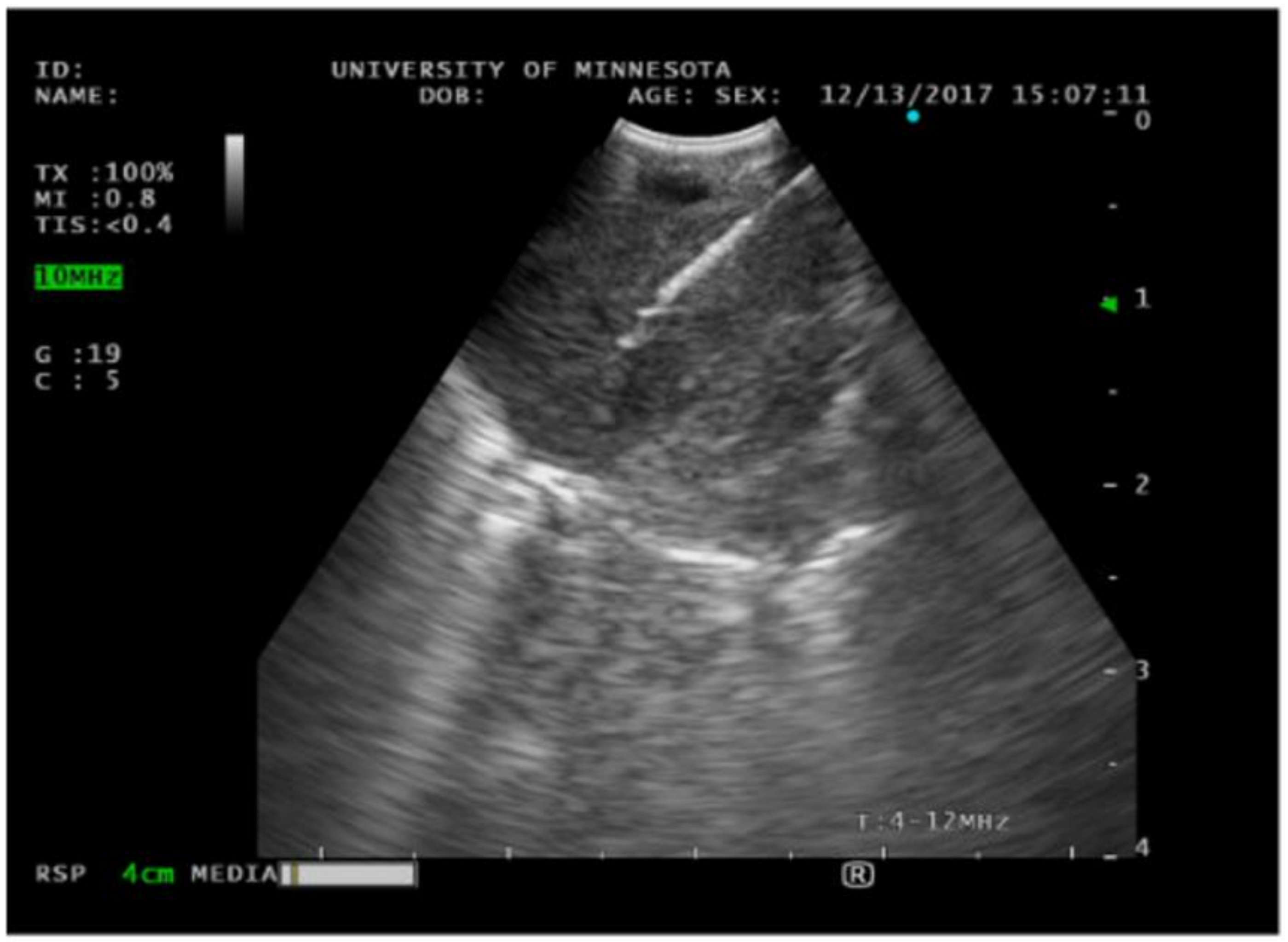 Diagnostics 14 01604 g006