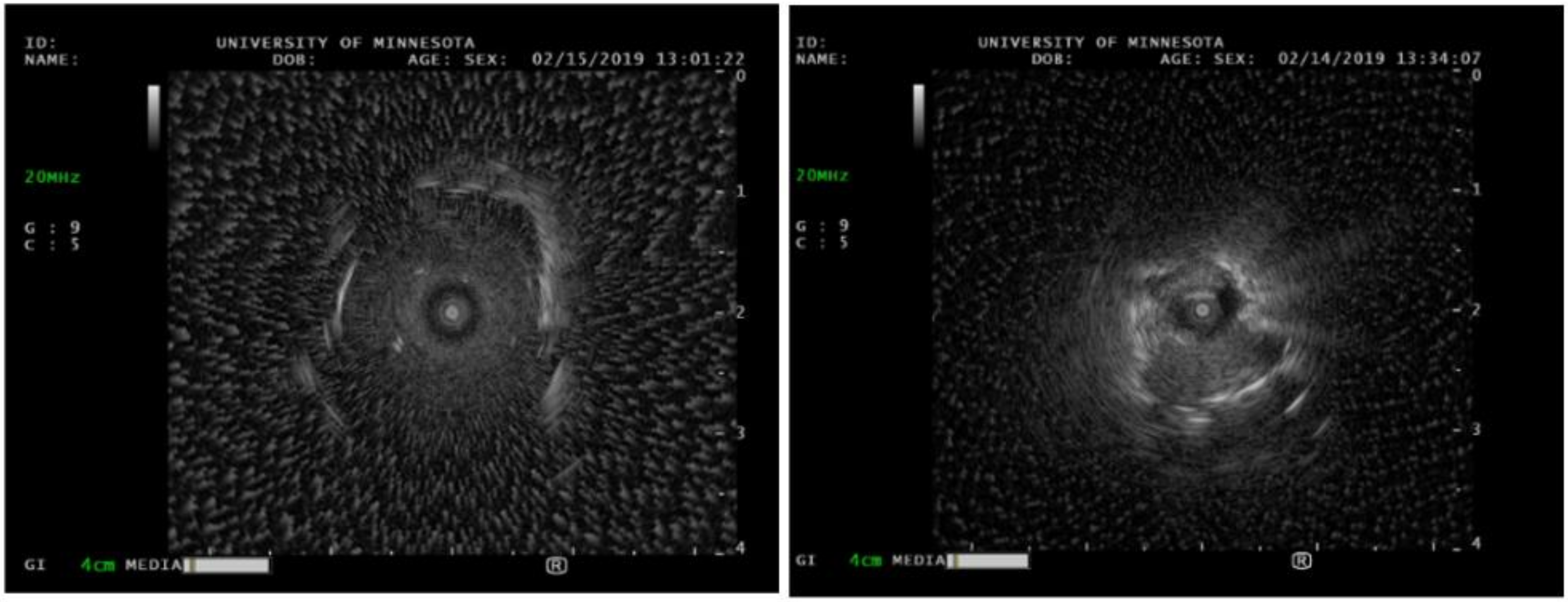 Diagnostics 14 01604 g007