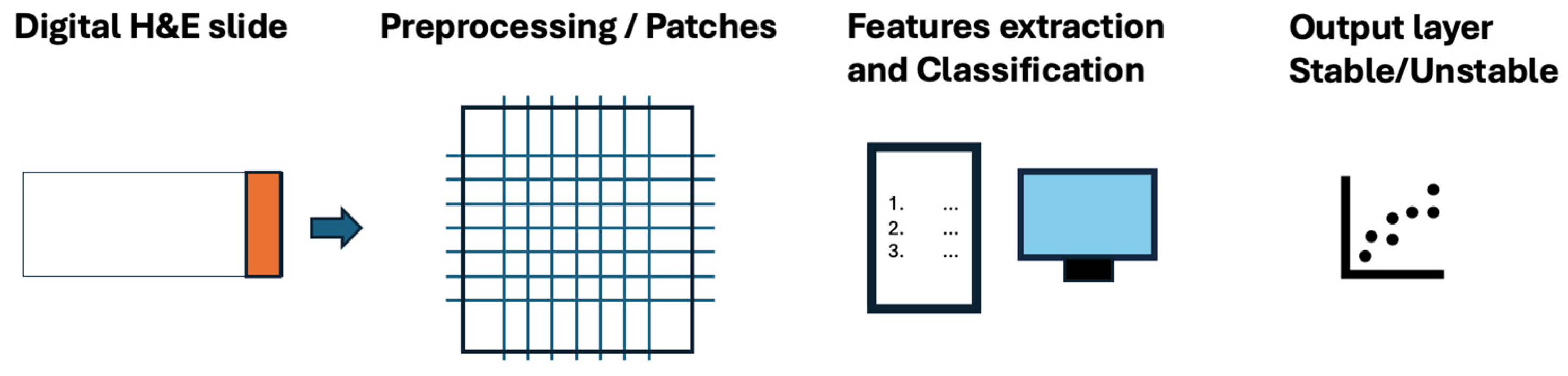 Diagnostics 14 01605 g001