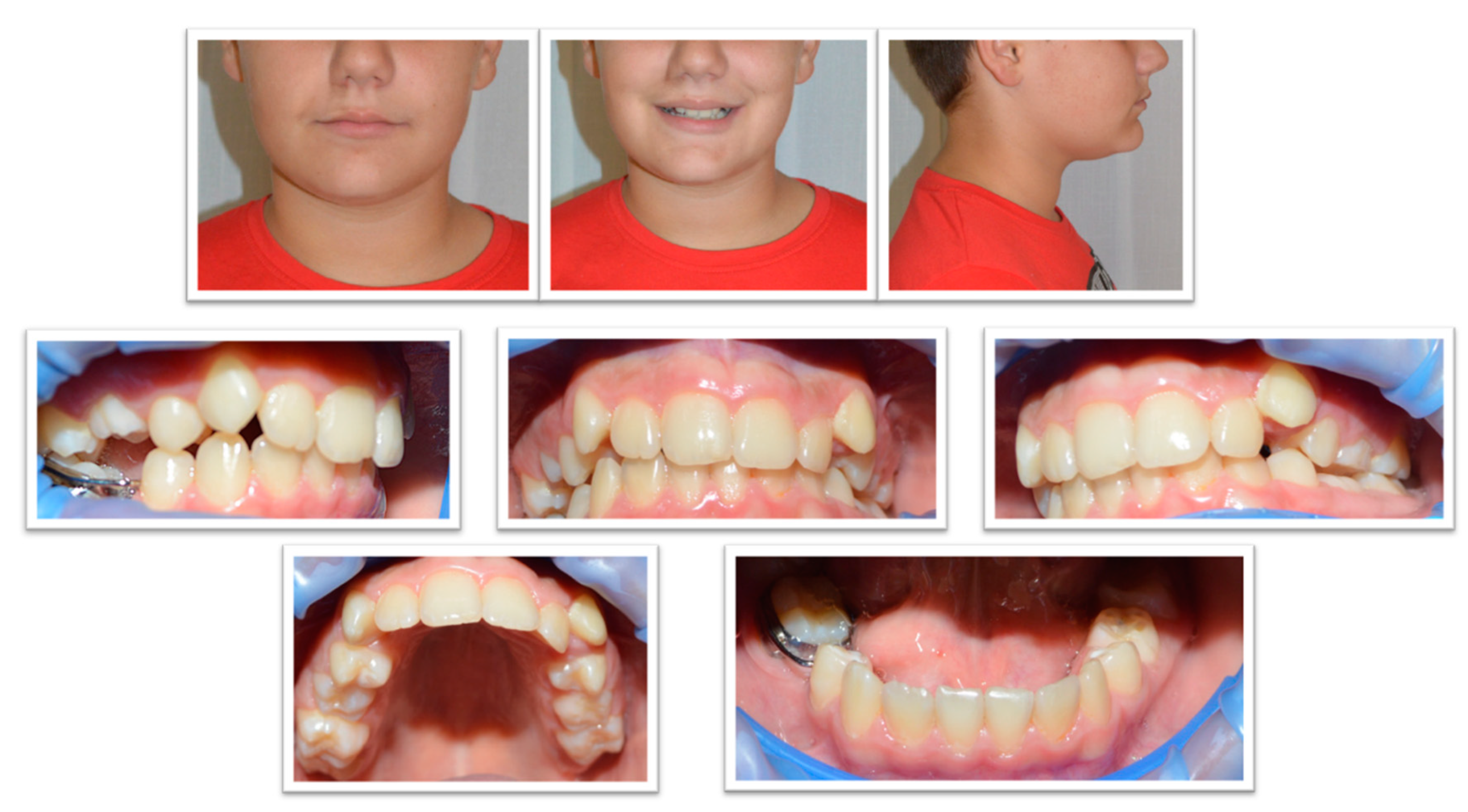 Diagnostics 14 01610 g003