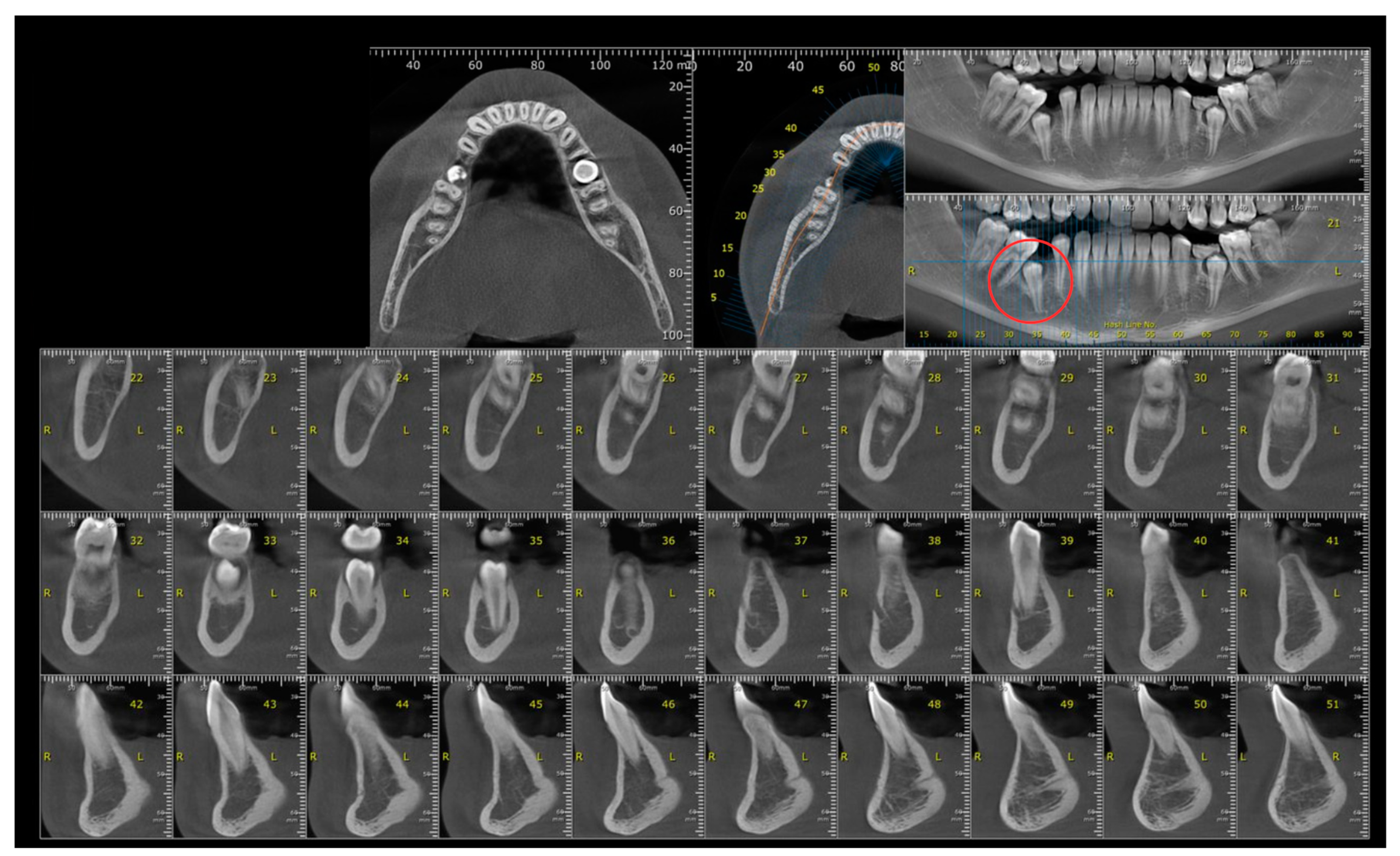 Diagnostics 14 01610 g005
