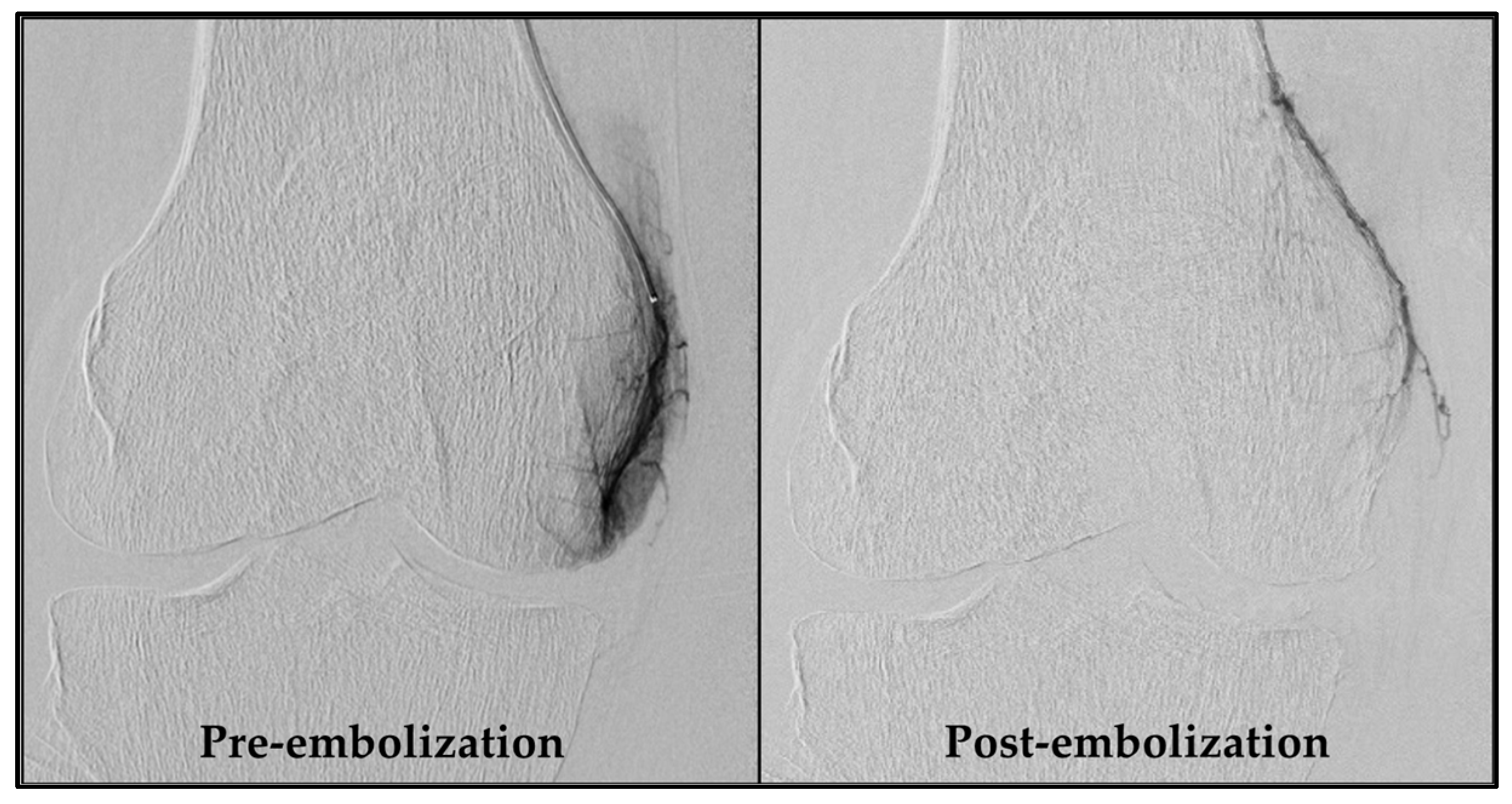 Diagnostics 14 01627 g002