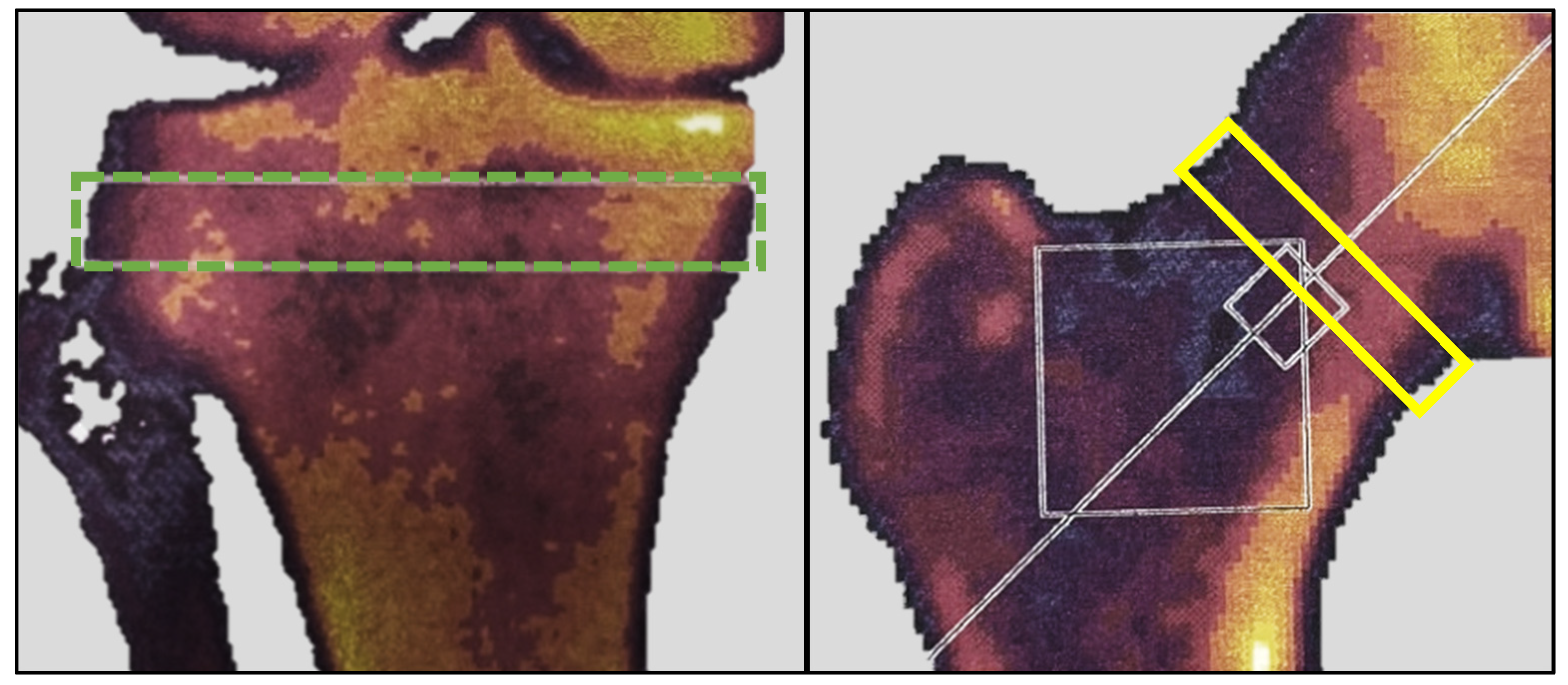 Diagnostics 14 01627 g003