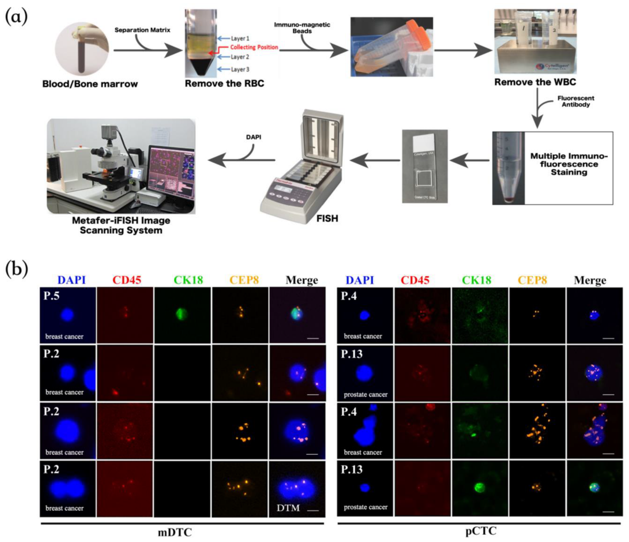 Diagnostics 14 01629 g001