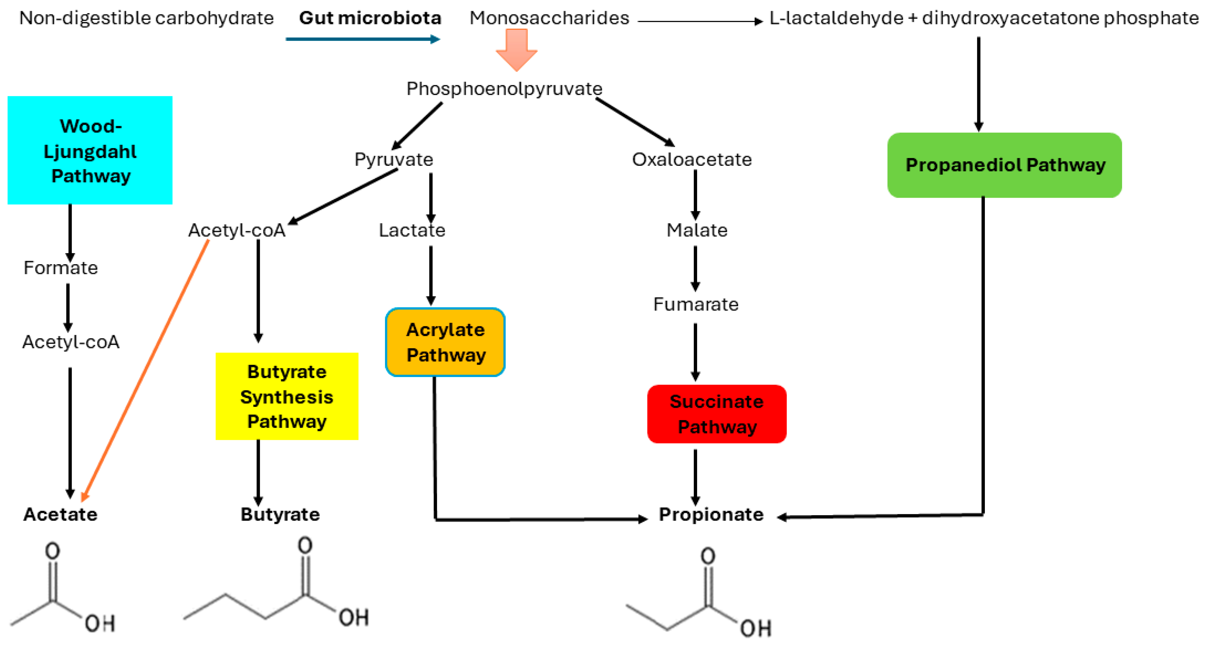 Diagnostics 14 01636 g002