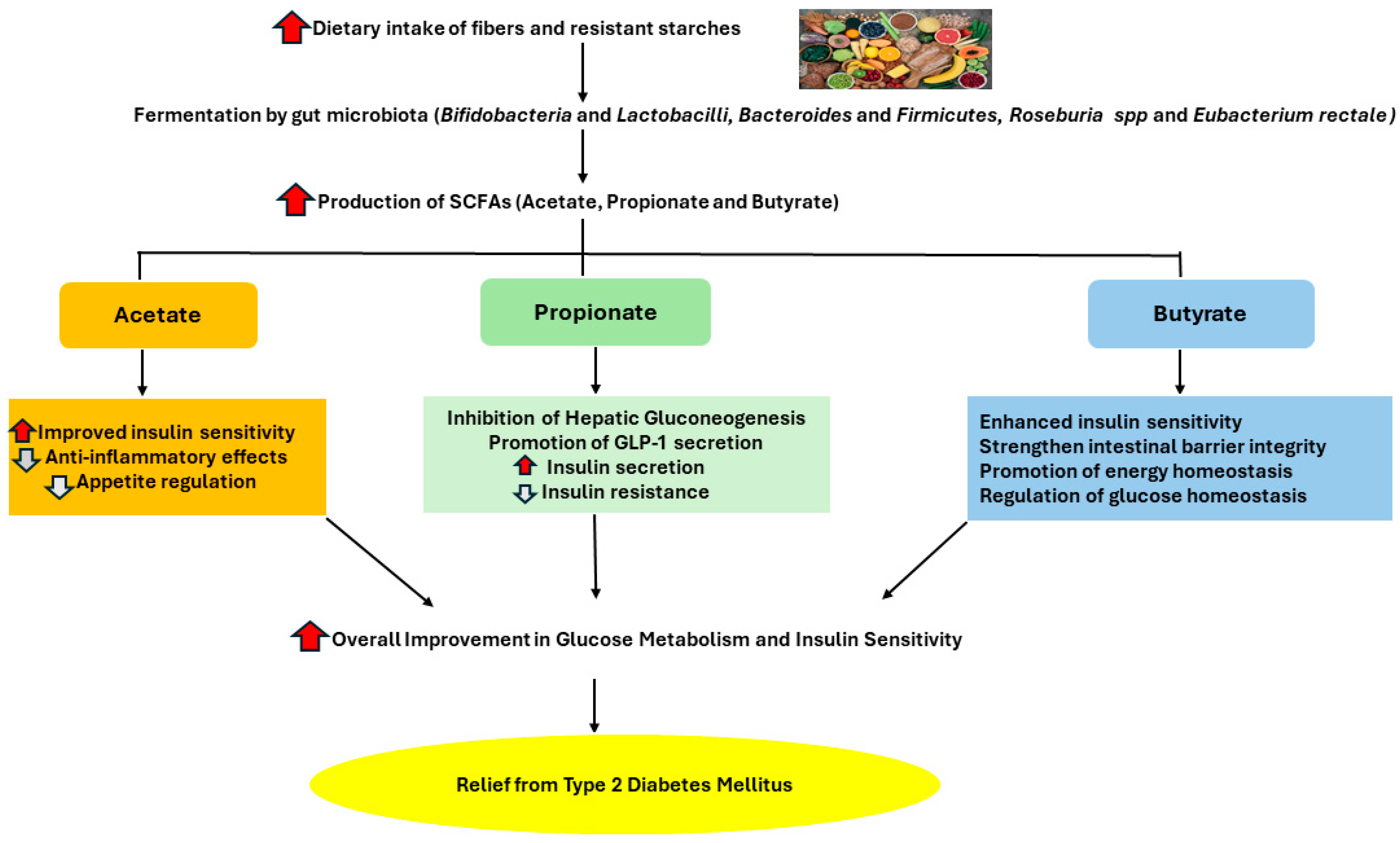 Diagnostics 14 01636 g004