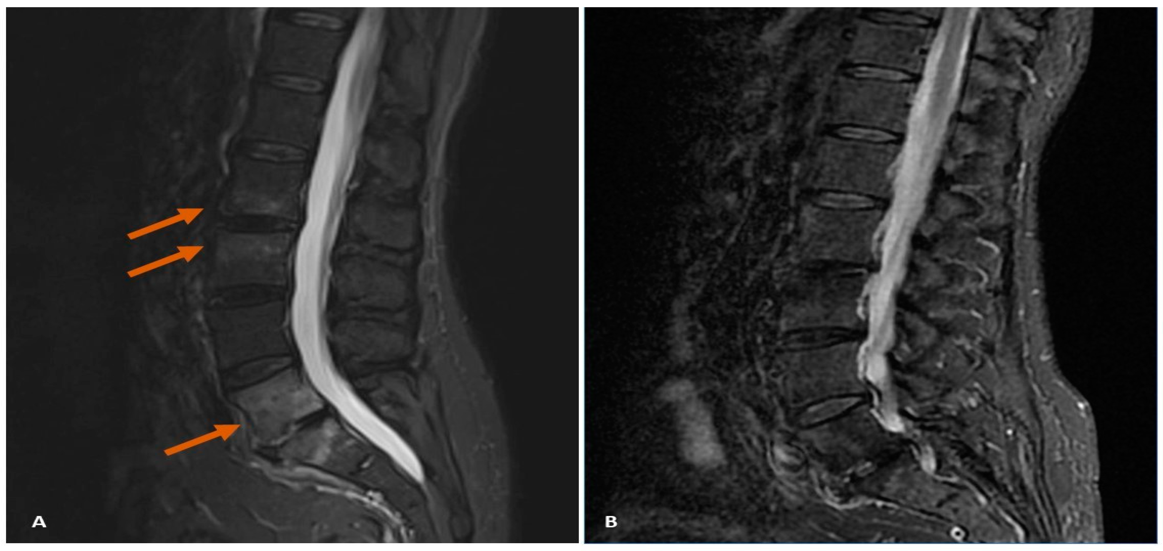 Diagnostics 14 01637 g002