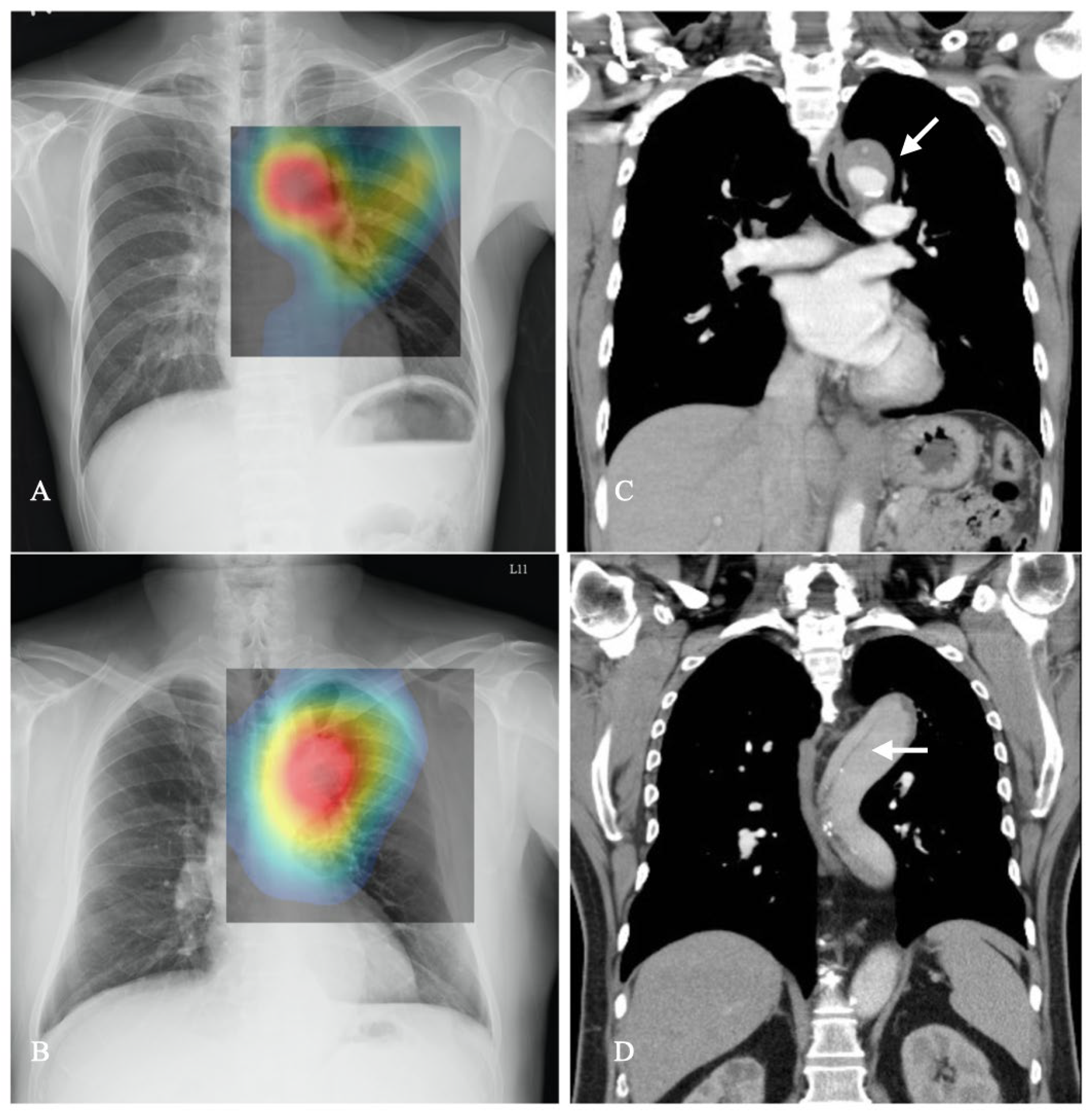 Diagnostics 14 01646 g002