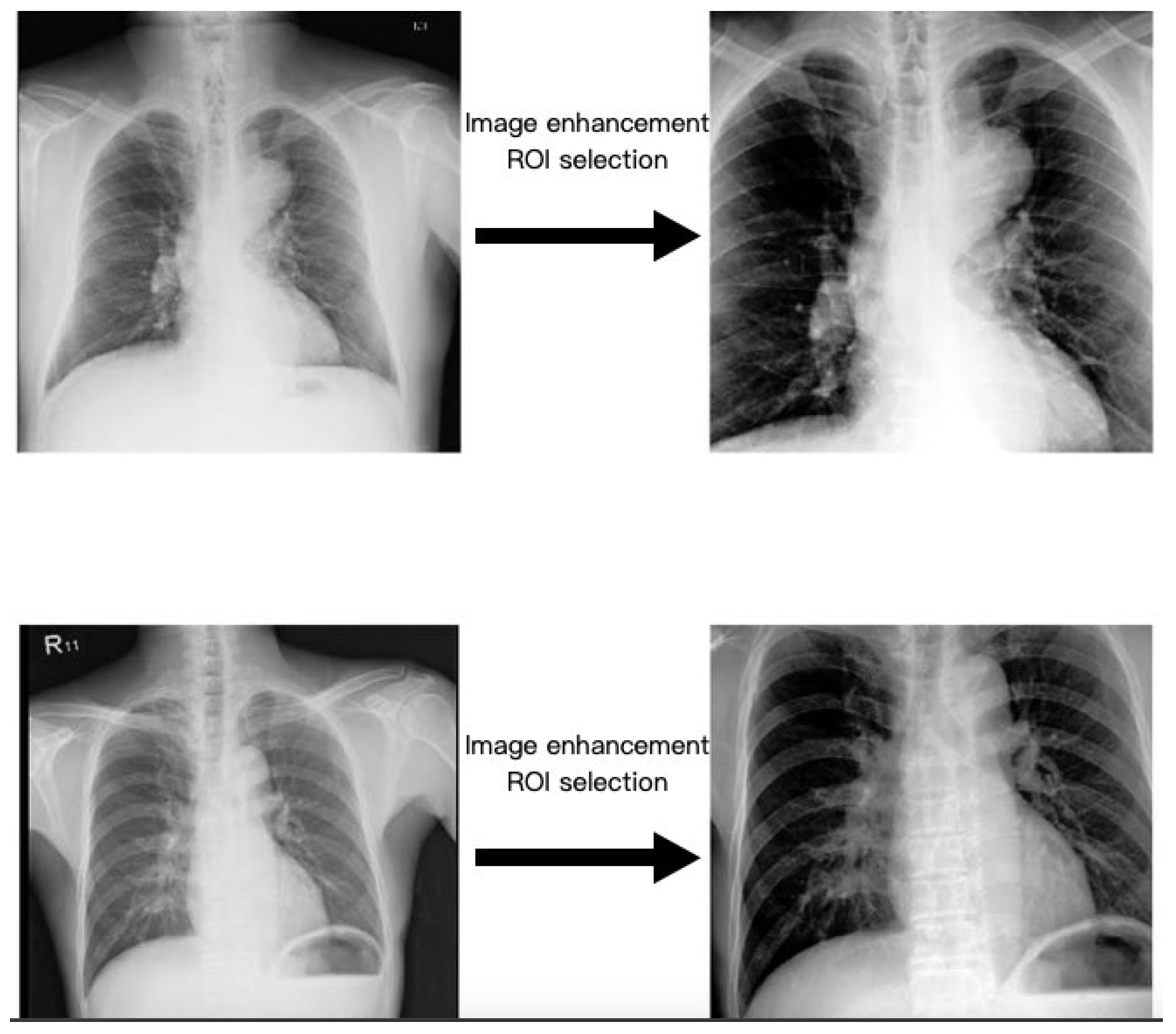 Diagnostics 14 01646 g003
