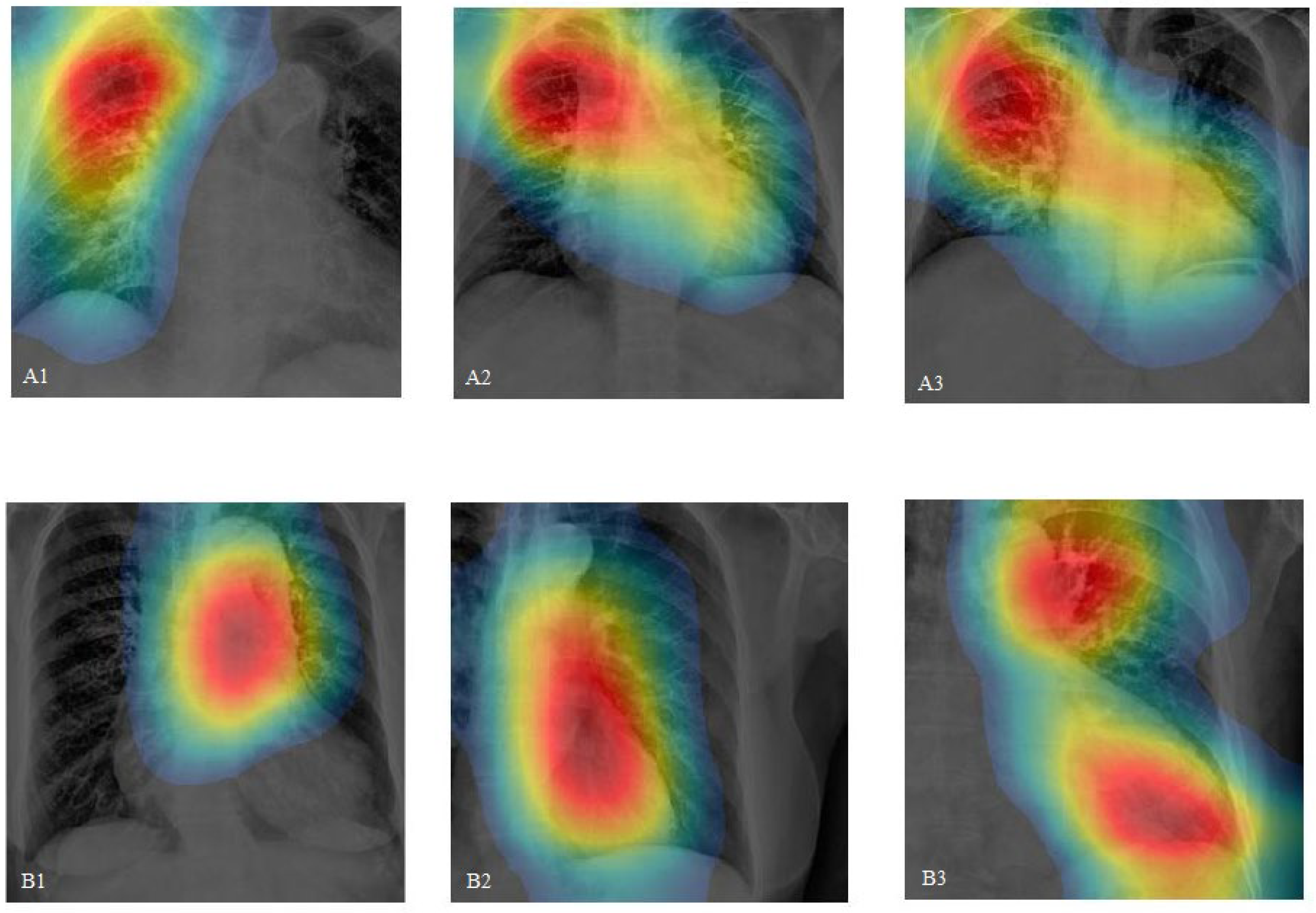 Diagnostics 14 01646 g005