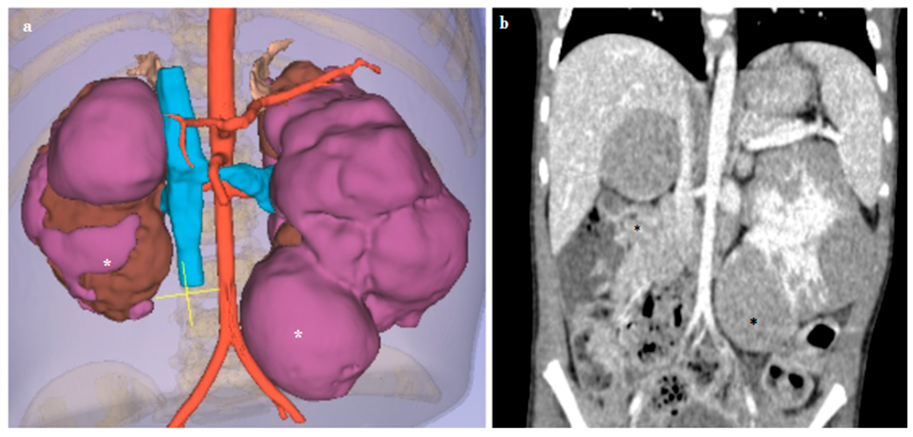 Diagnostics 14 01647 g003