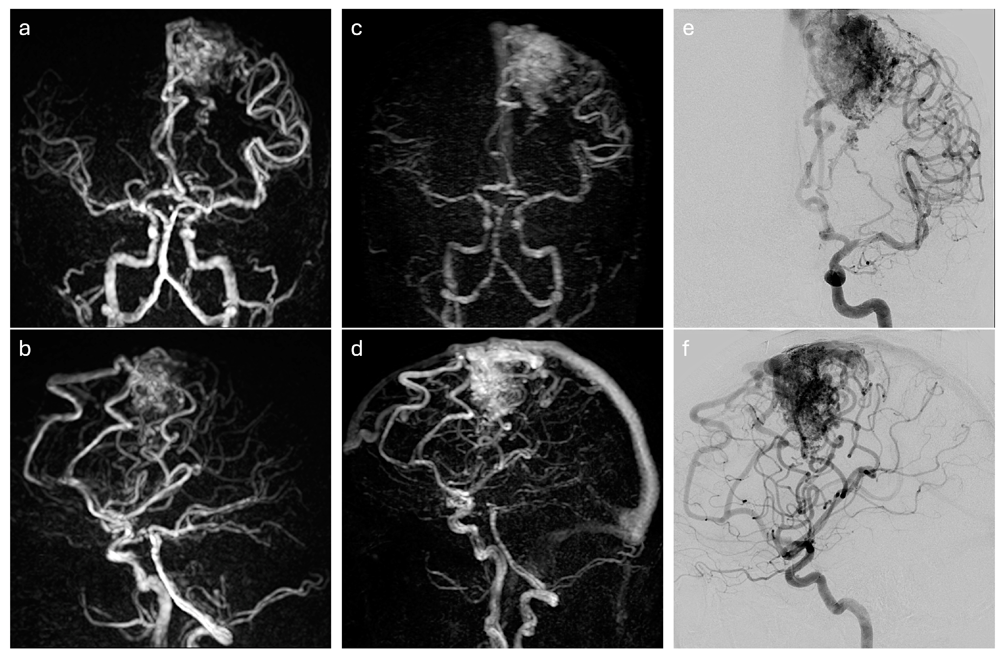 Diagnostics 14 01656 g003