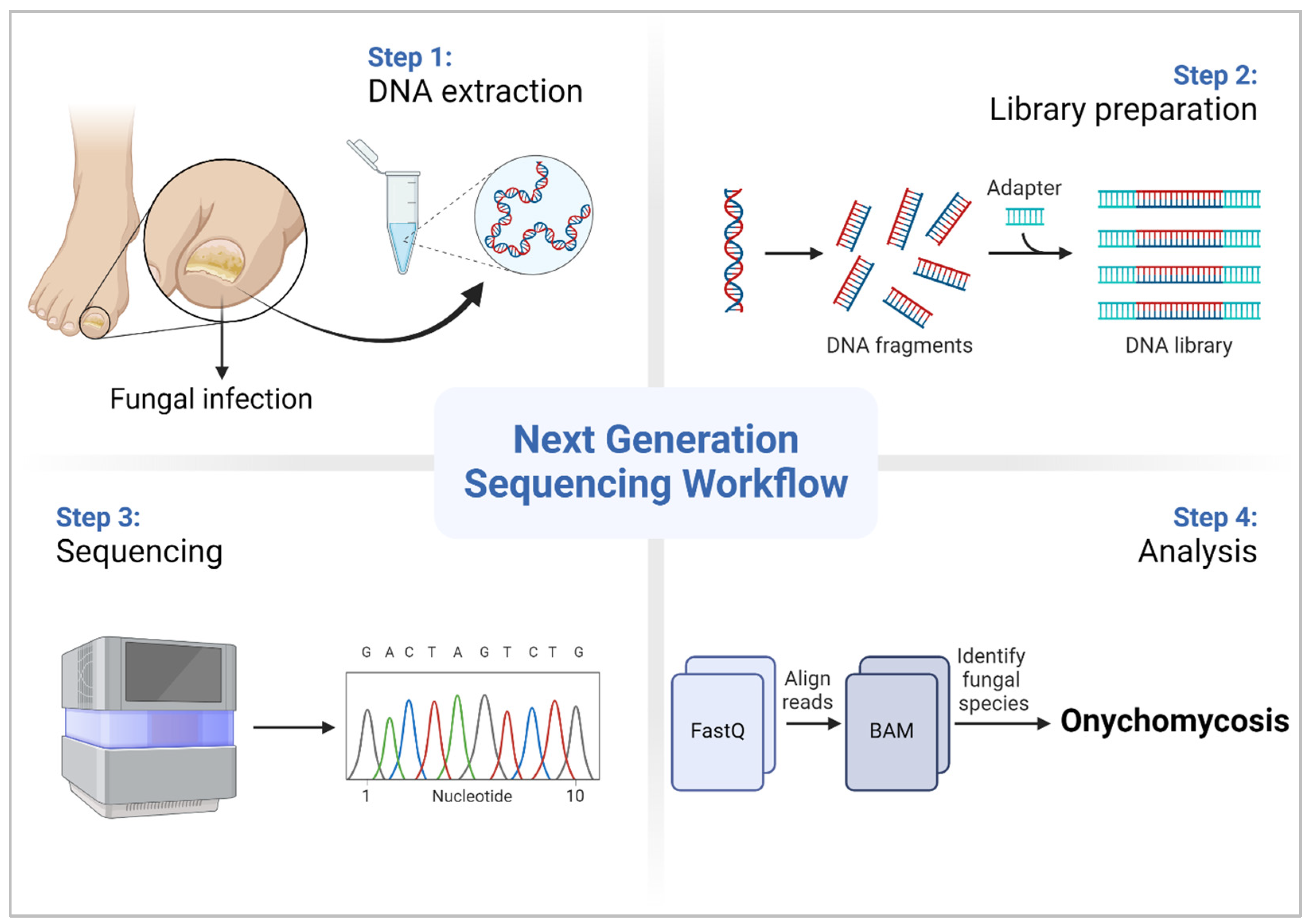 Diagnostics 14 01664 g001