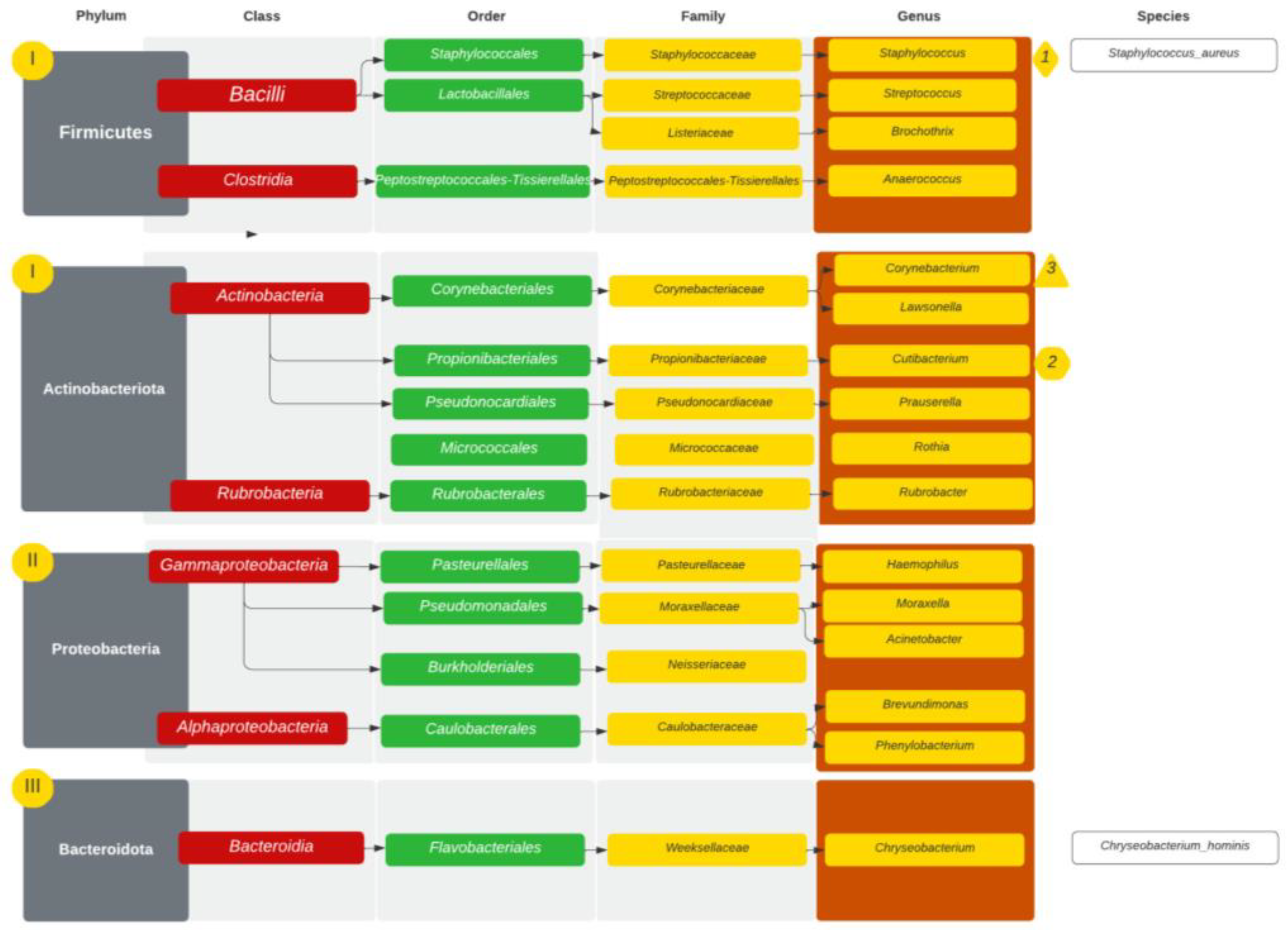 Diagnostics 14 01673 g003