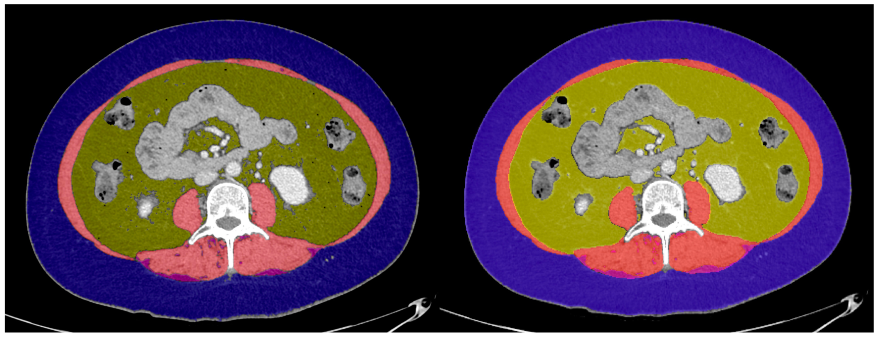 Diagnostics 14 01696 g001