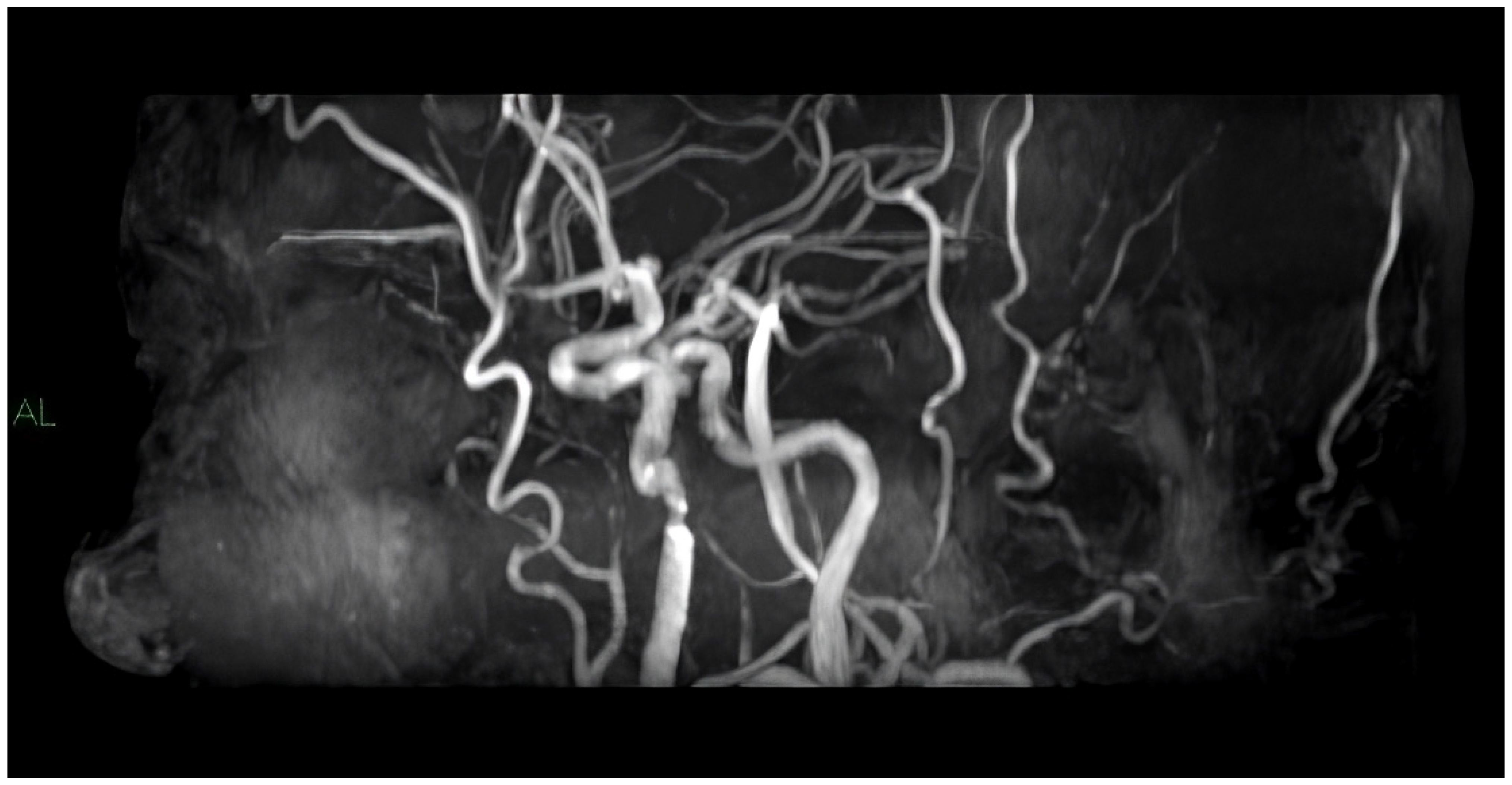 Diagnostics 14 01708 g003