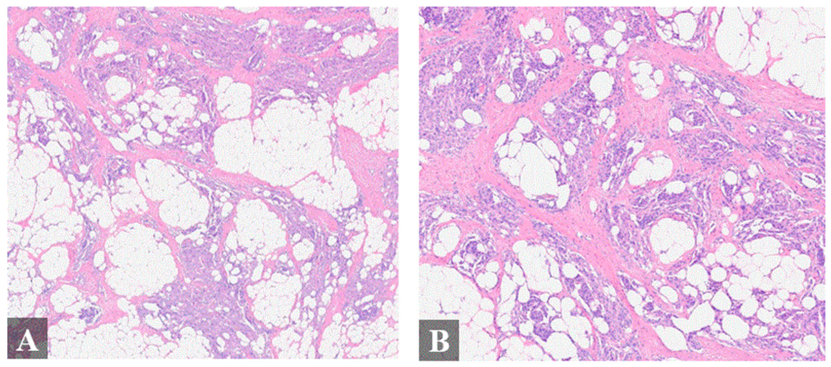 Diagnostics 14 01731 g002a