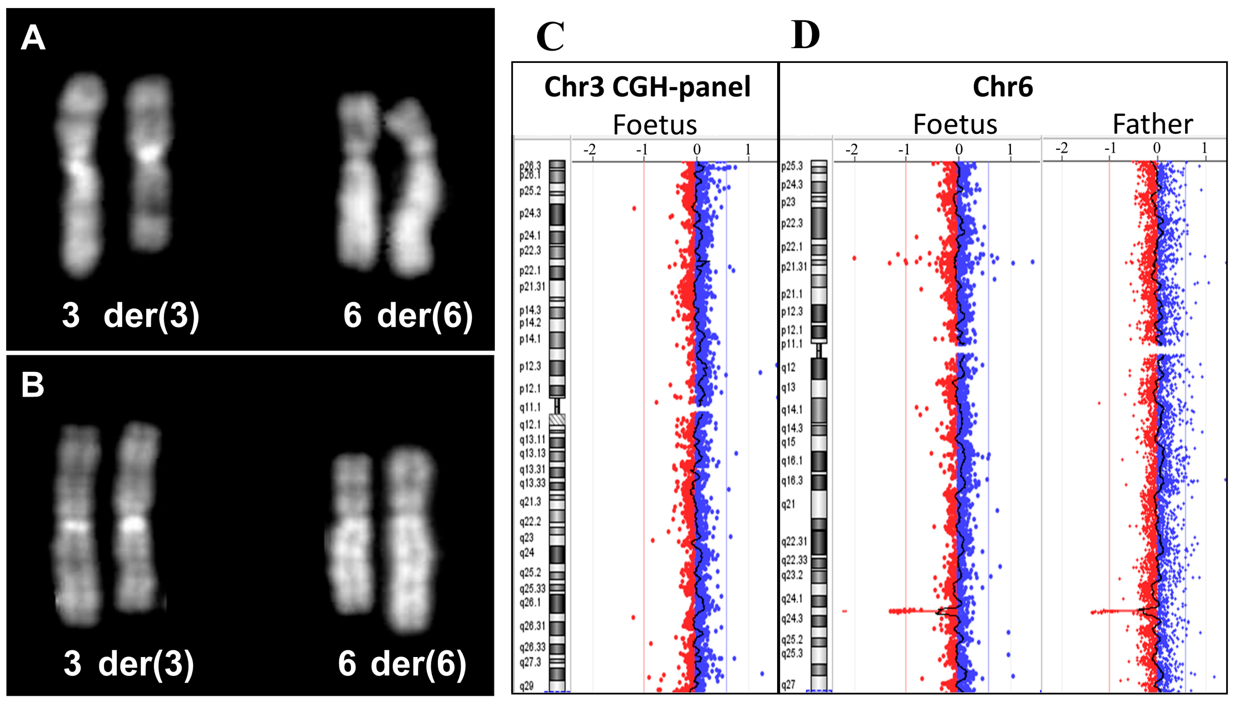 Diagnostics 14 01732 g001