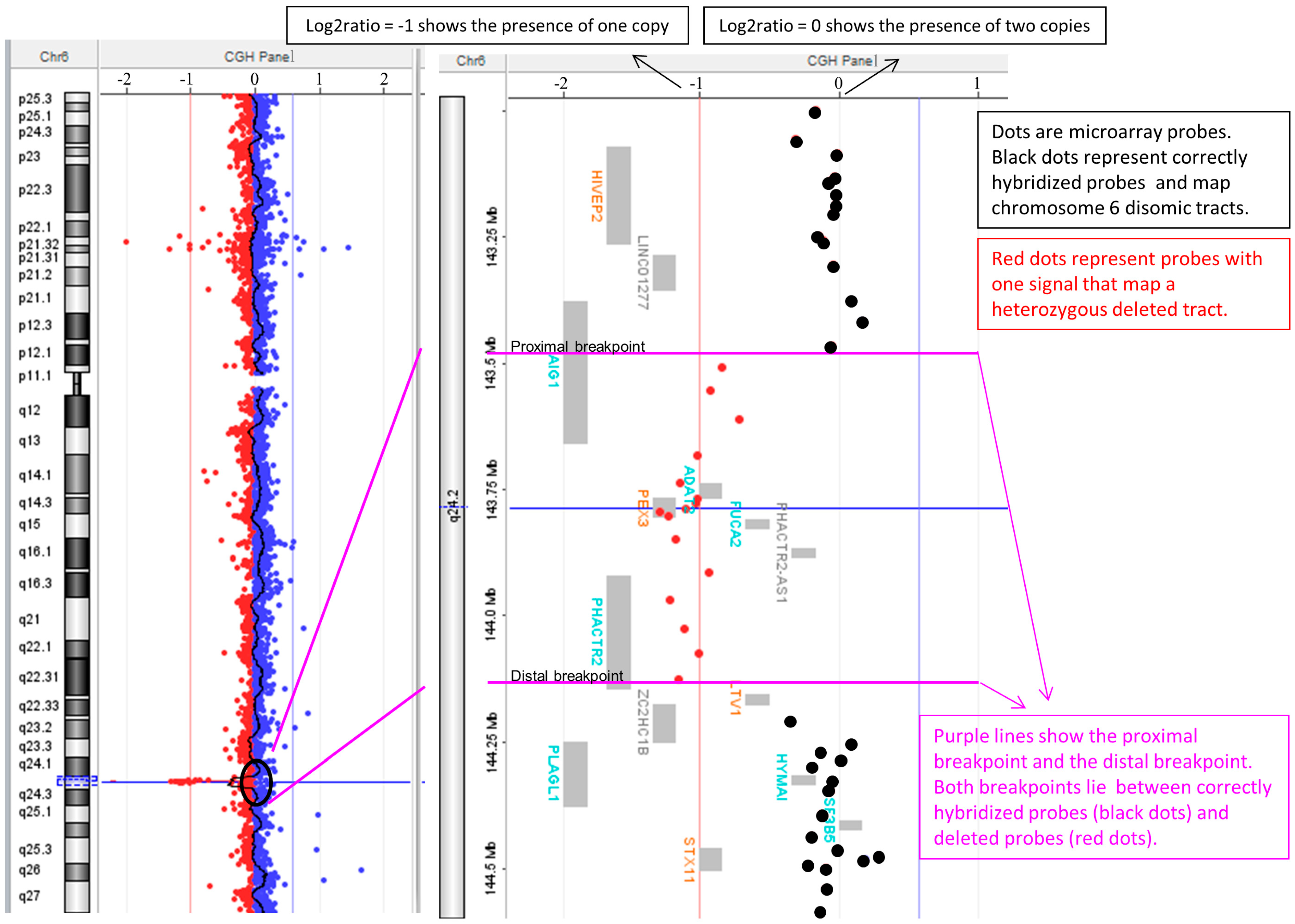 Diagnostics 14 01732 g002