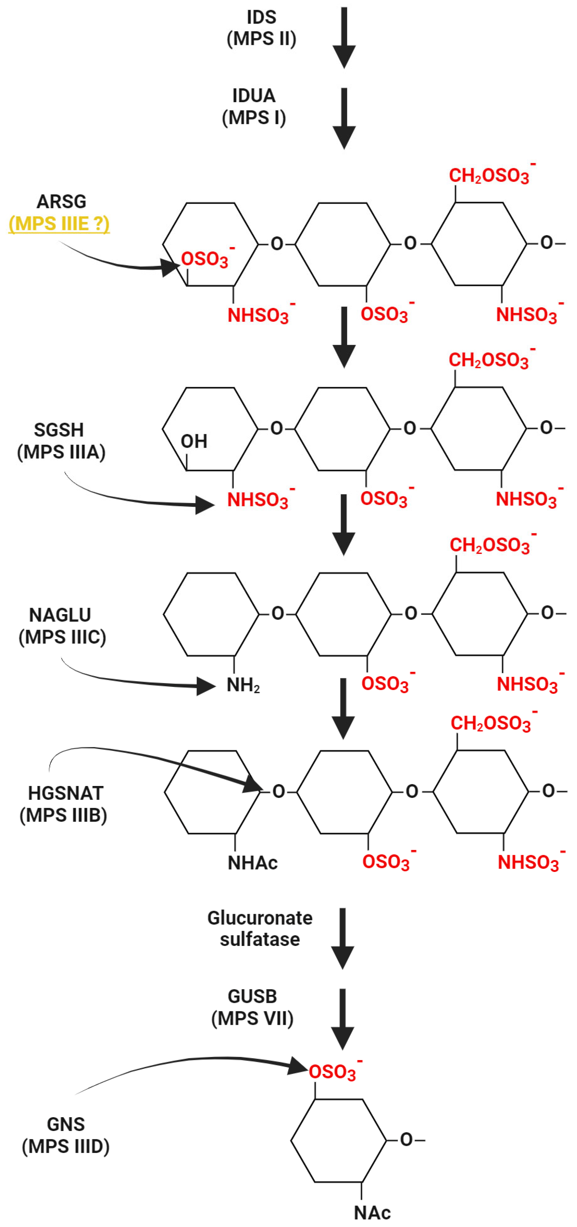 Diagnostics 14 01734 g001