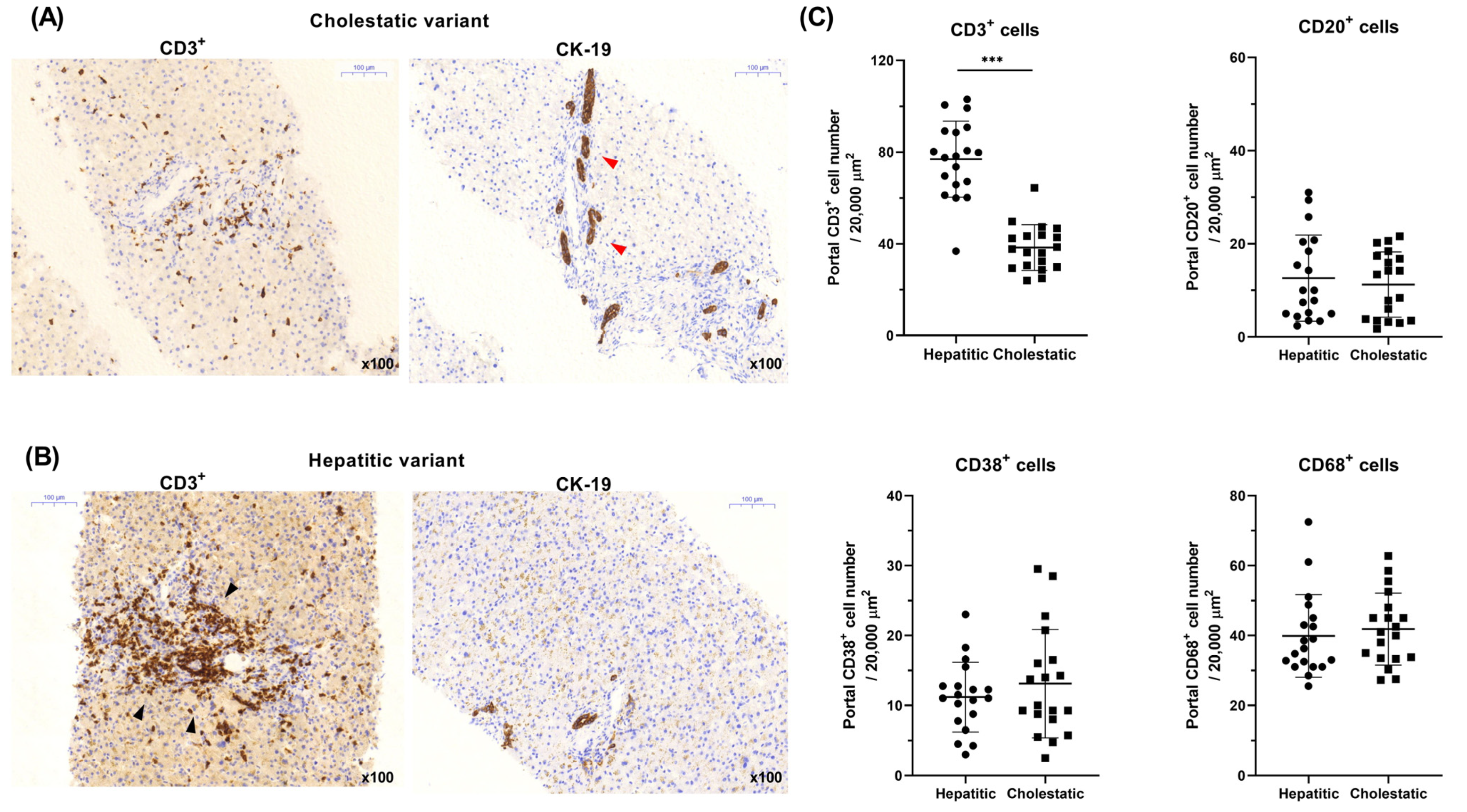 Diagnostics 14 01745 g001