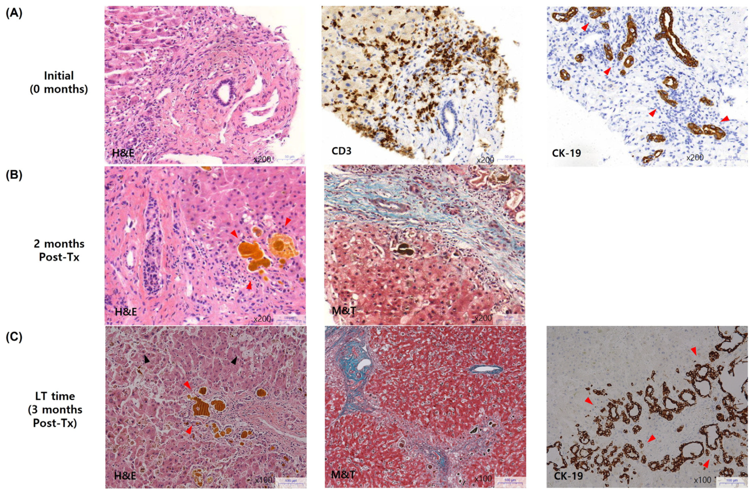 Diagnostics 14 01745 g003