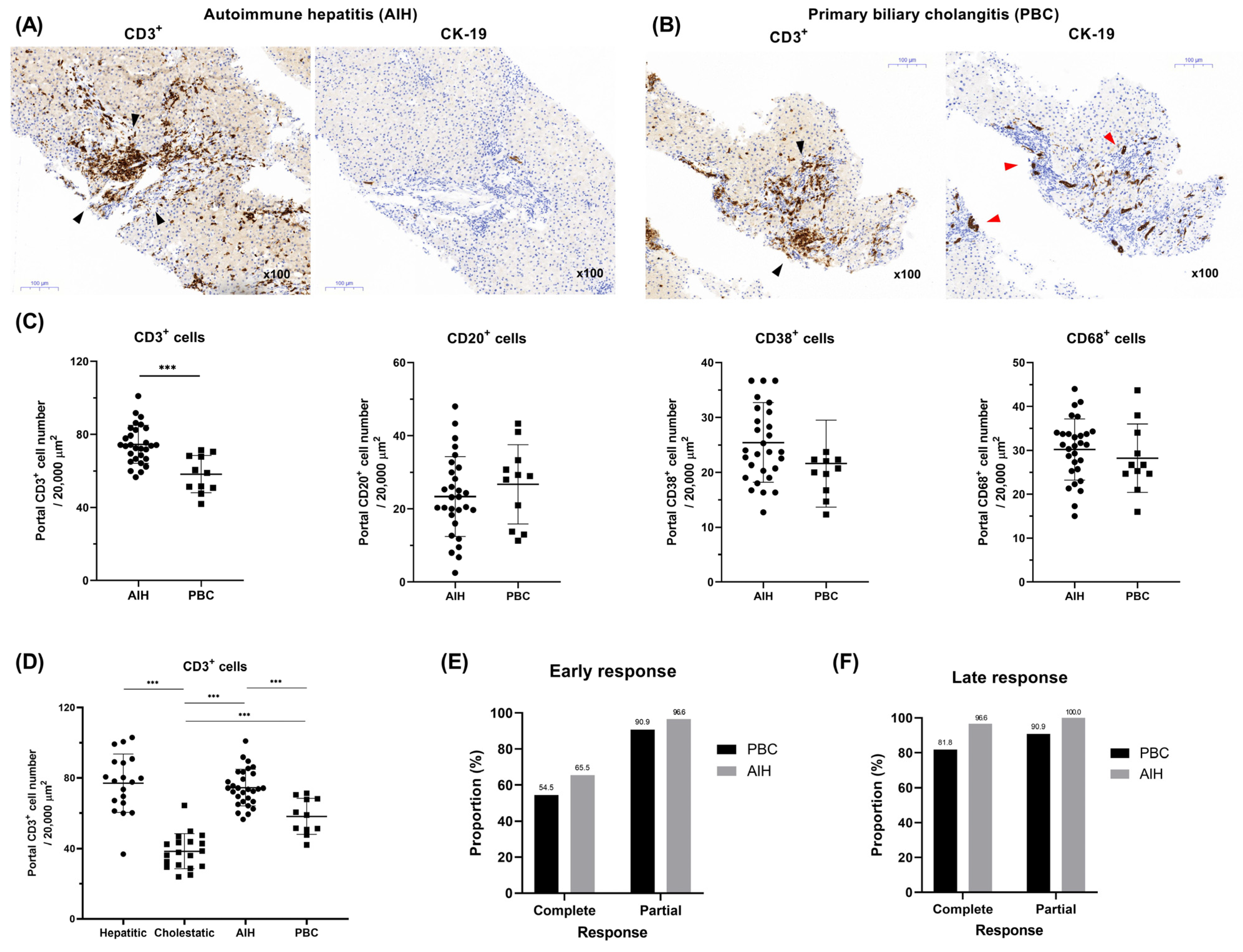 Diagnostics 14 01745 g004