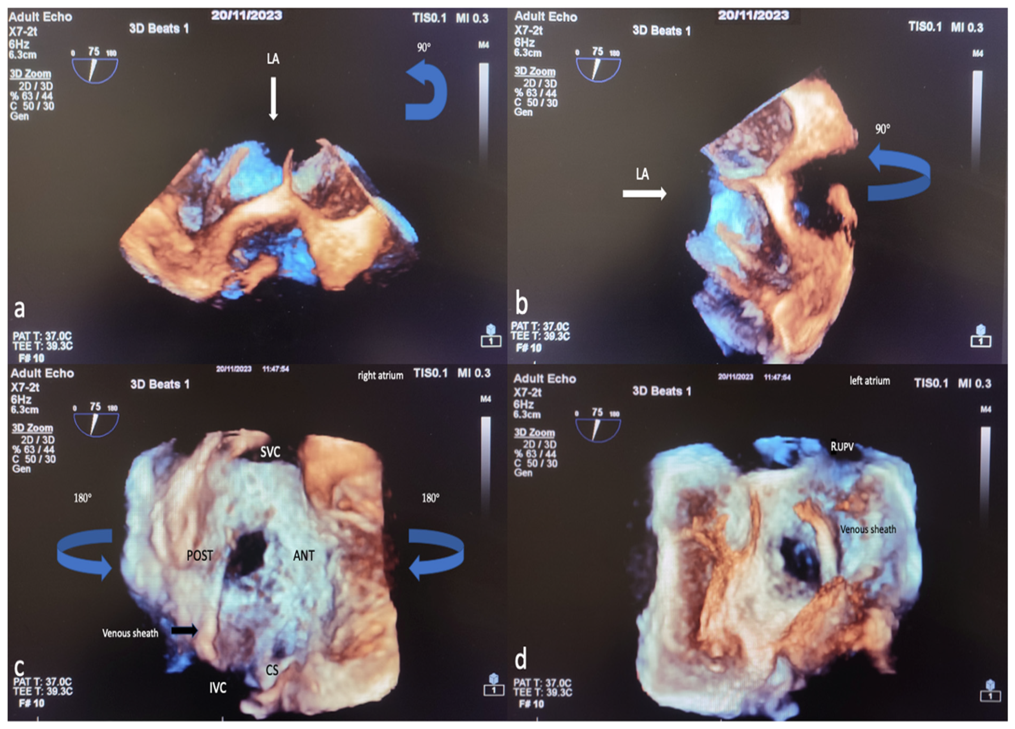 Diagnostics 14 01755 g002