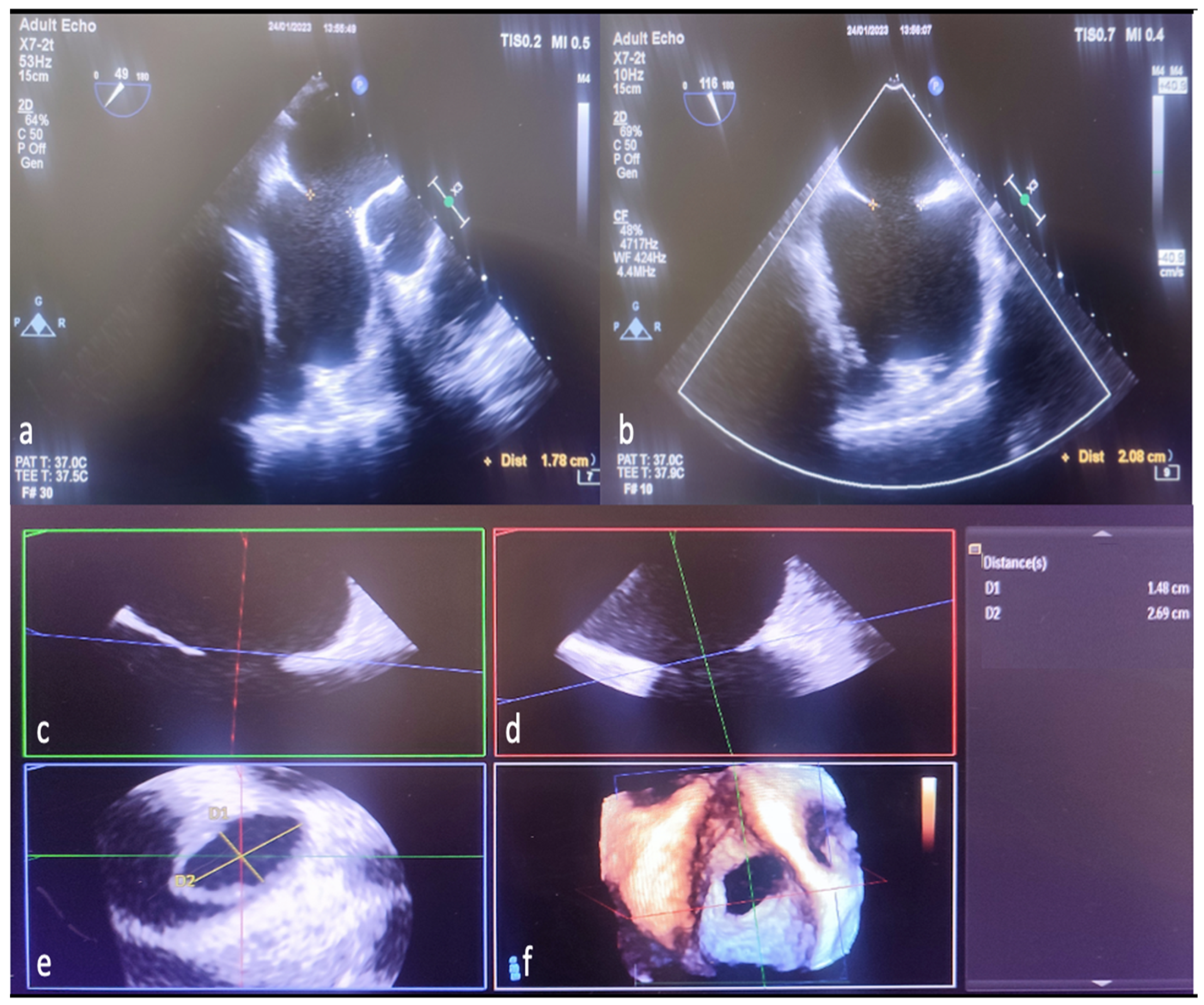 Diagnostics 14 01755 g003