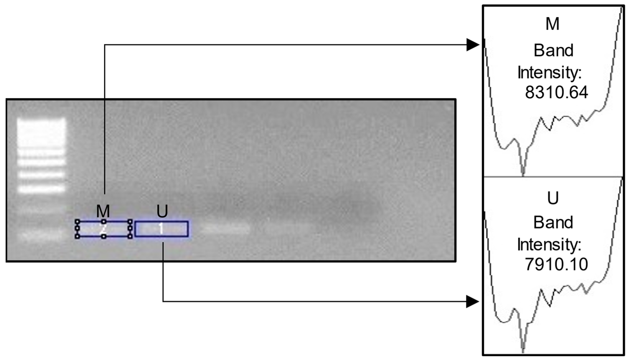 Diagnostics 14 01767 g002