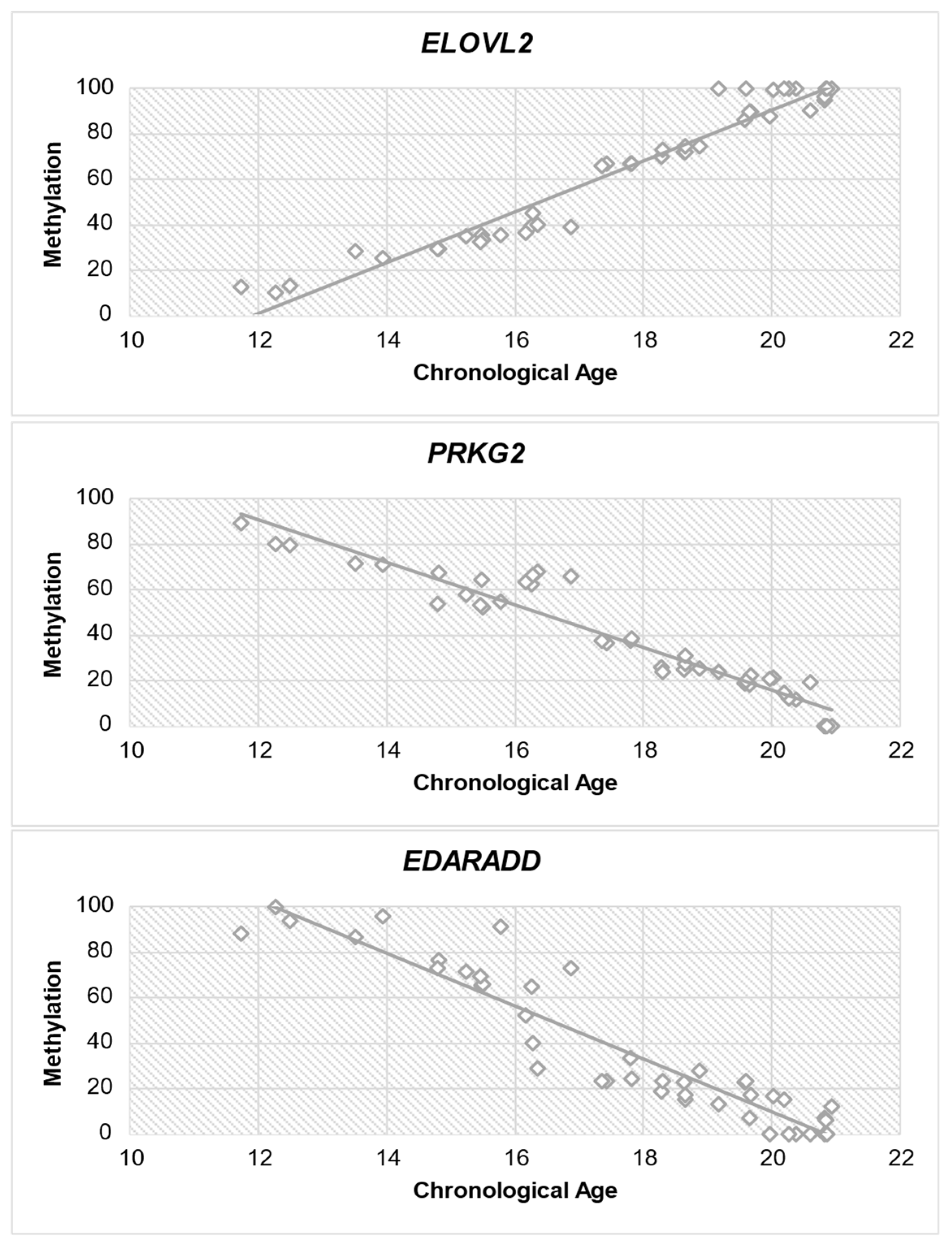 Diagnostics 14 01767 g004