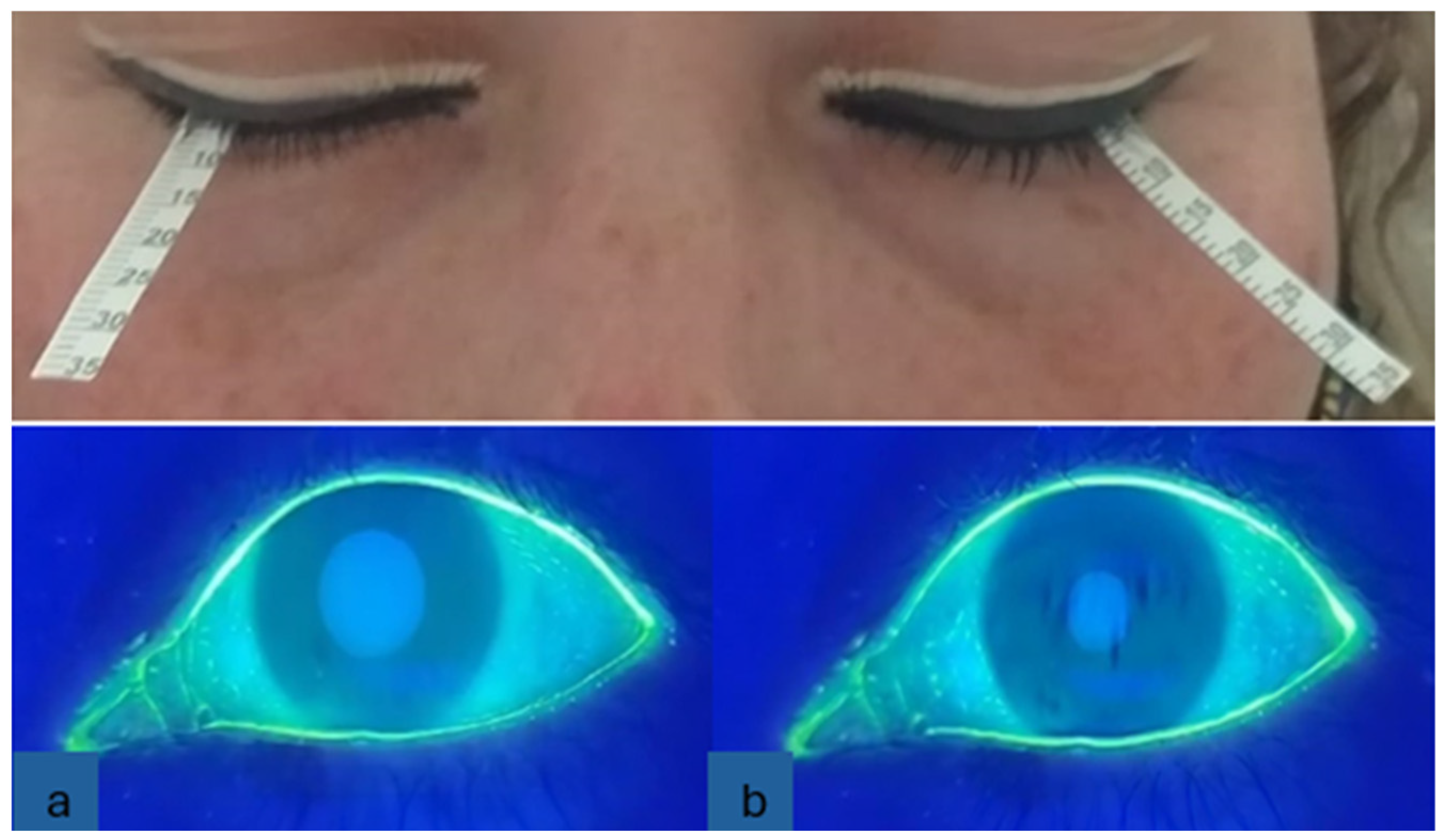 Diagnostics 14 01768 g002