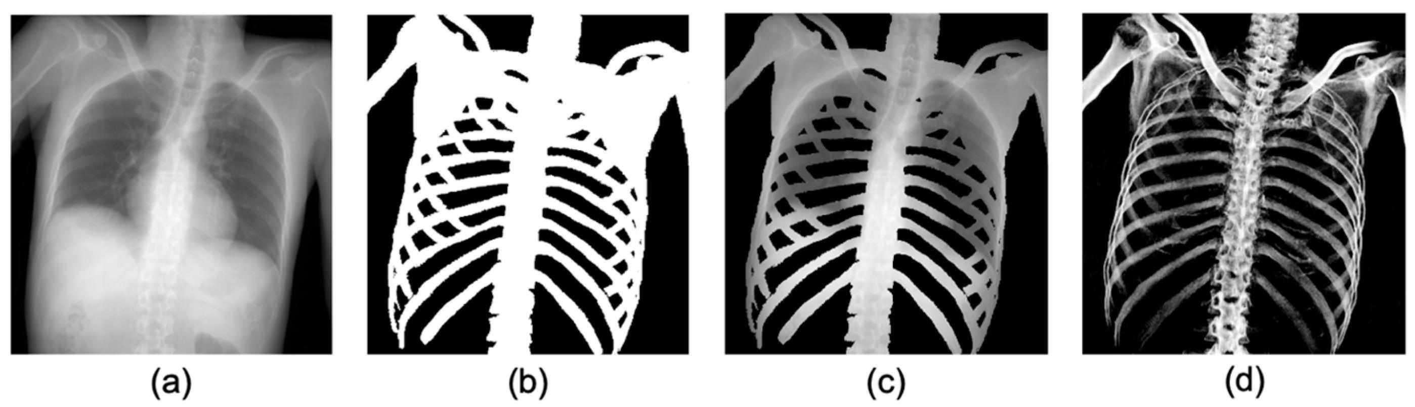 Diagnostics 14 01778 g001