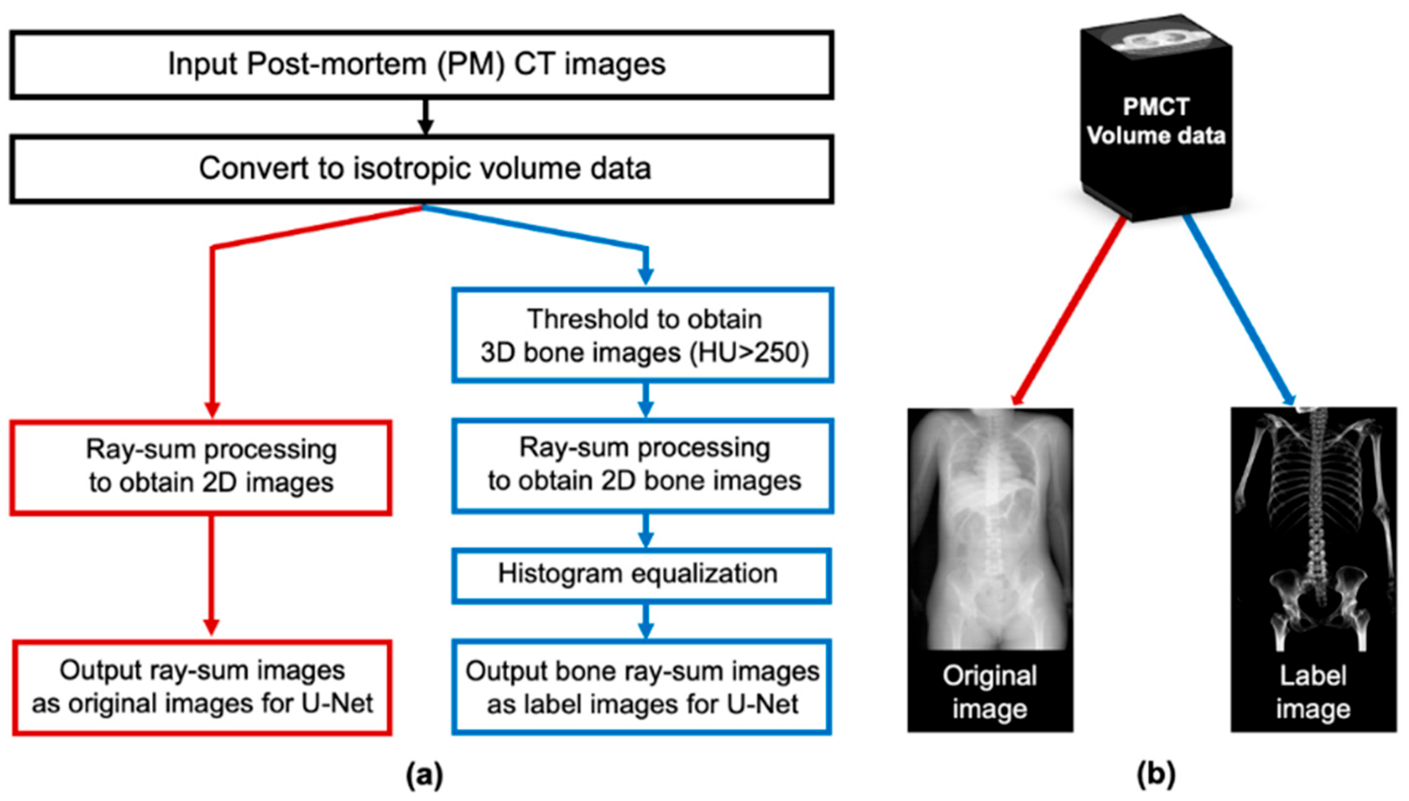 Diagnostics 14 01778 g003