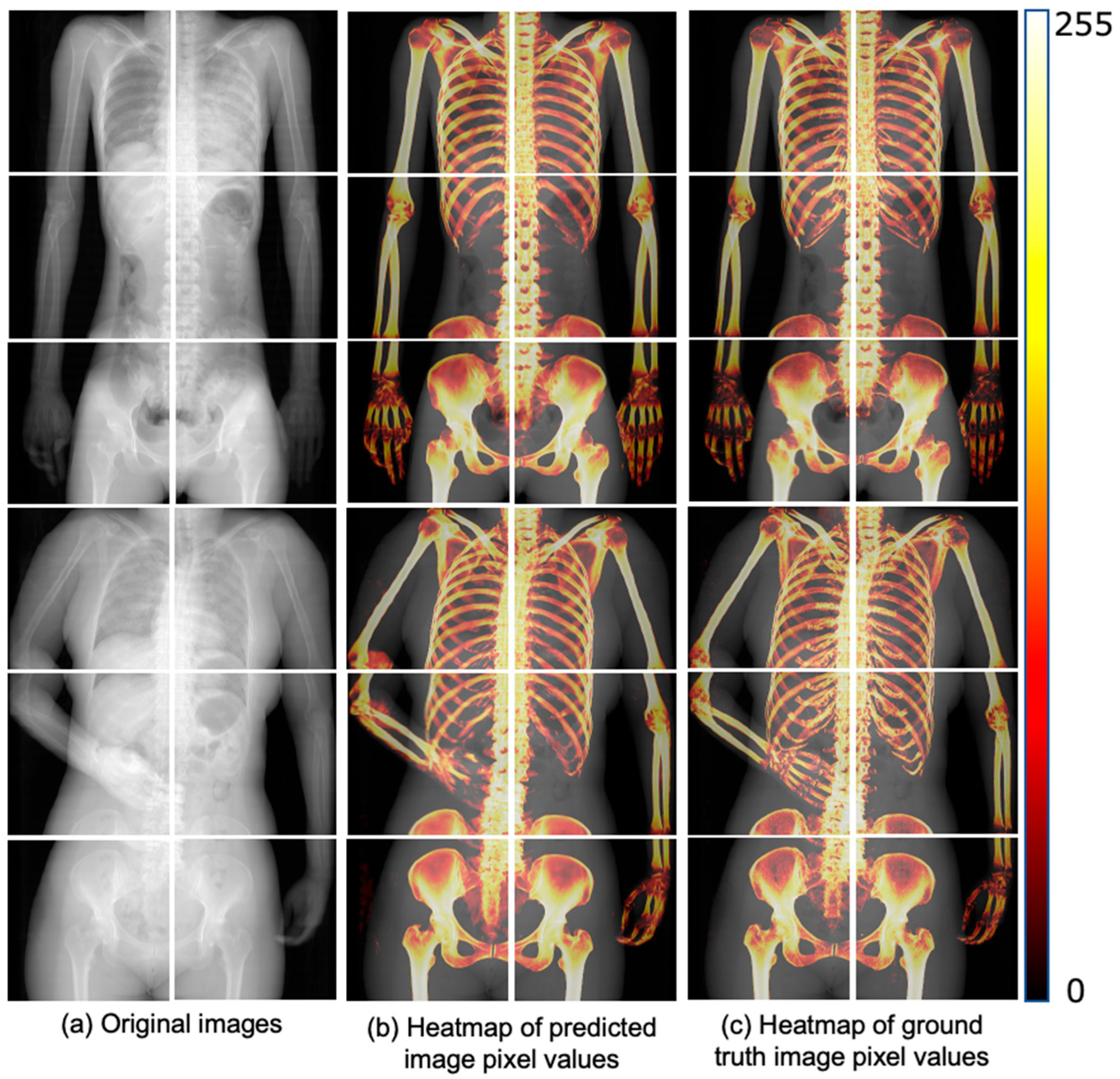 Diagnostics 14 01778 g006