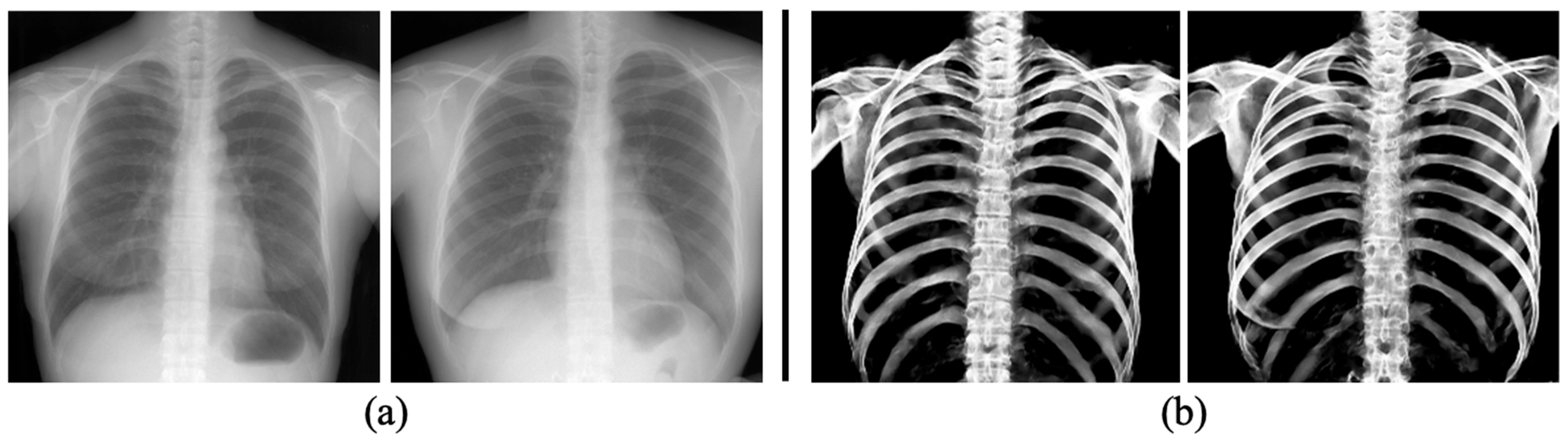 Diagnostics 14 01778 g008