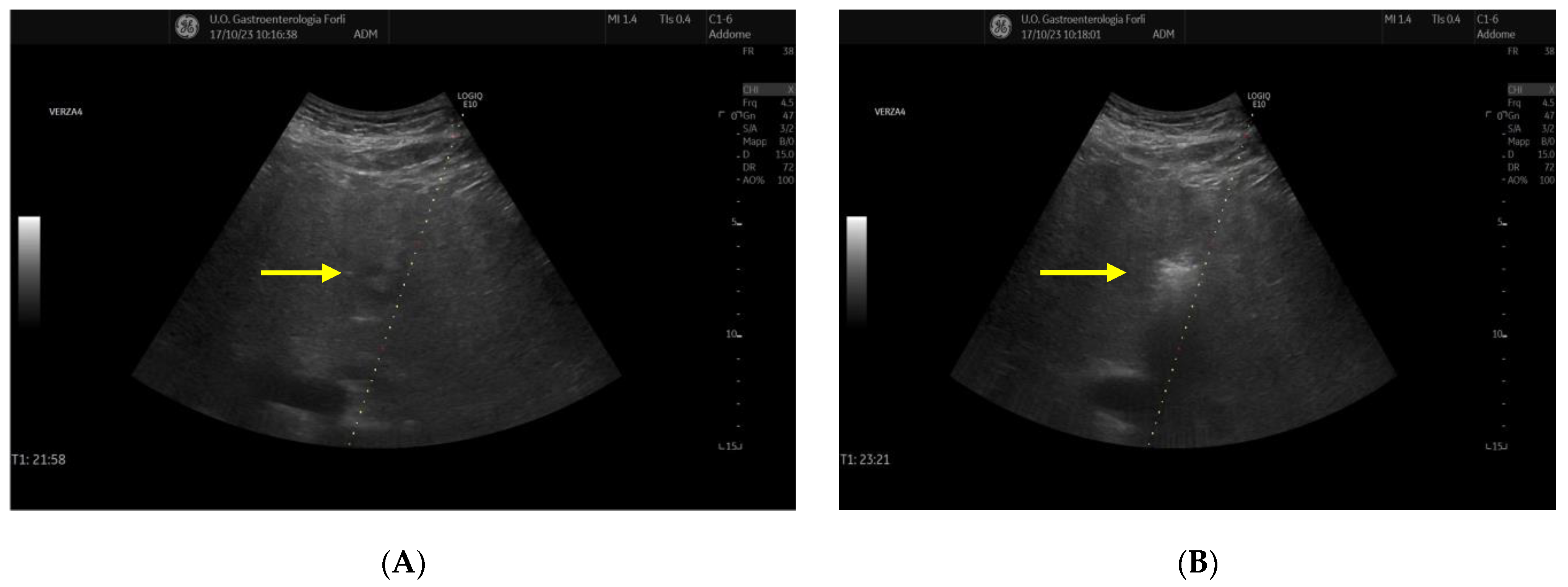 Diagnostics 14 01783 g001