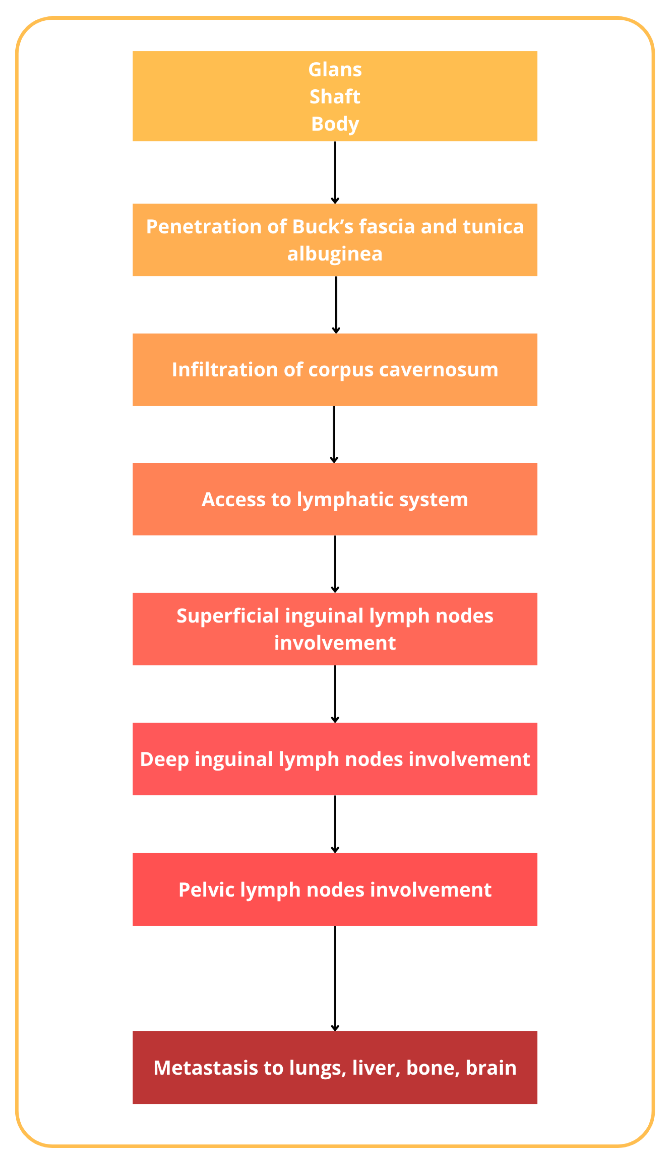 Diagnostics 14 01790 g003 Diagnostics 14 01790 g003