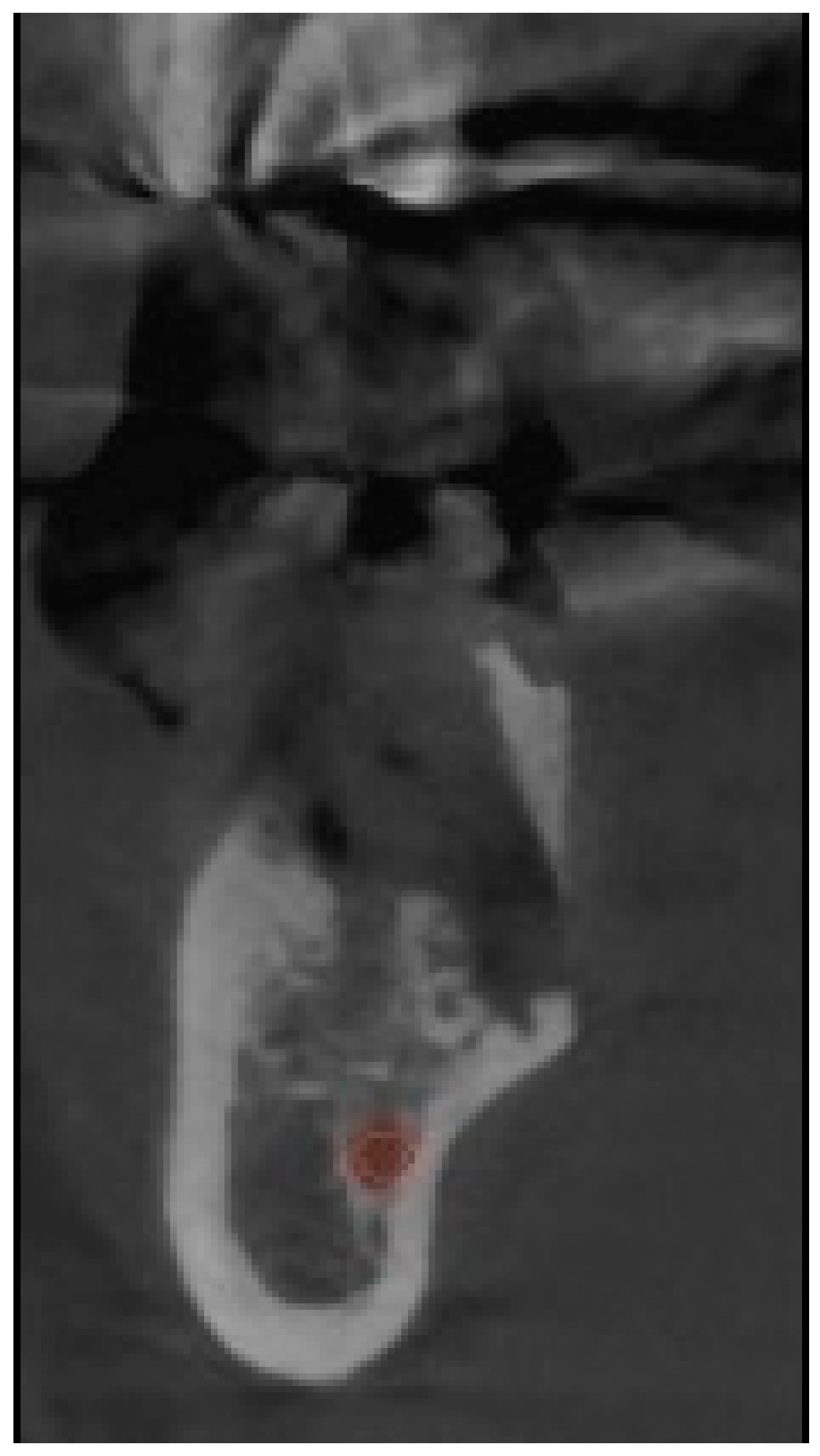 Diagnostics 14 01792 g001