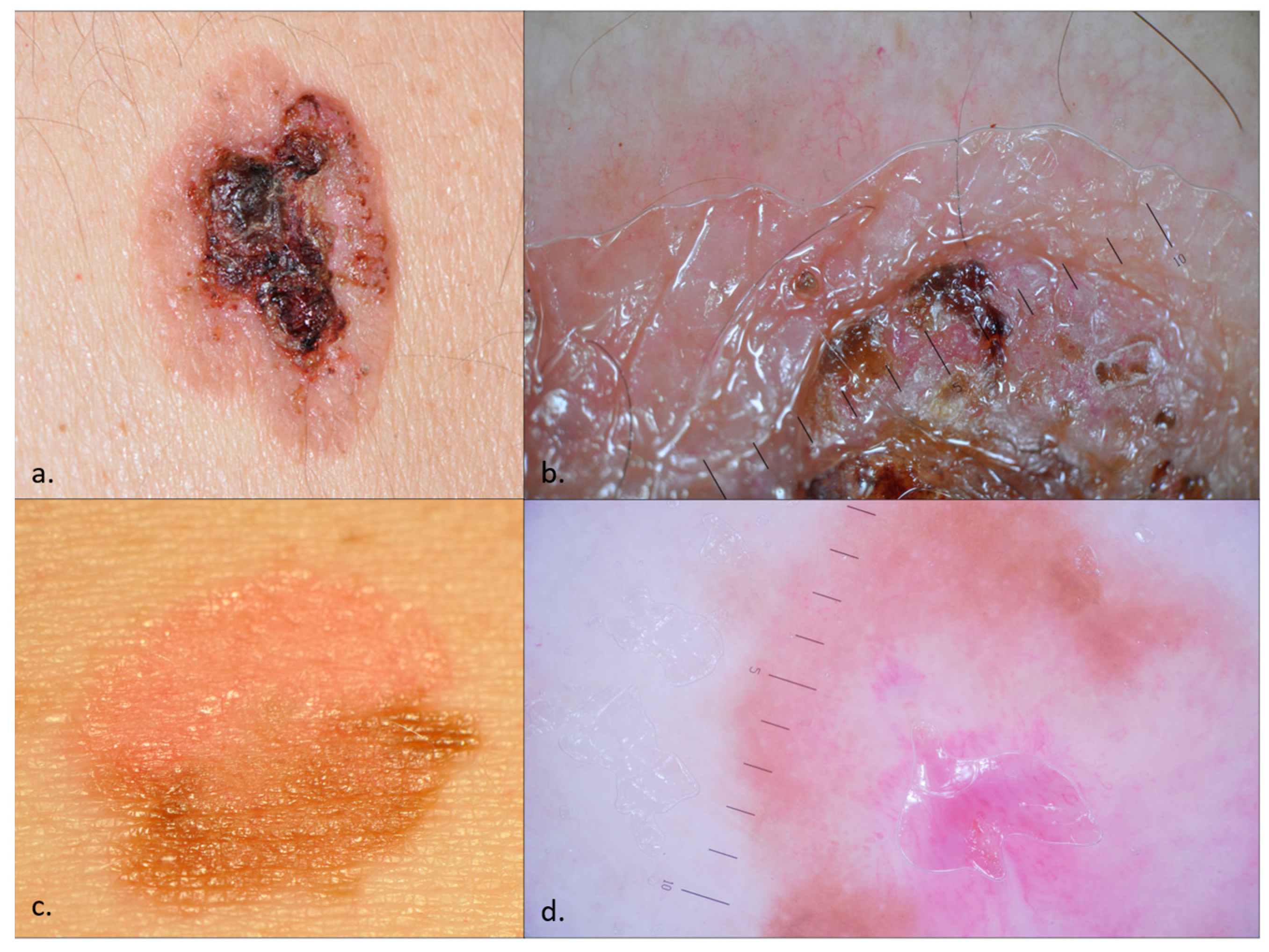 Diagnostics 14 01799 g001