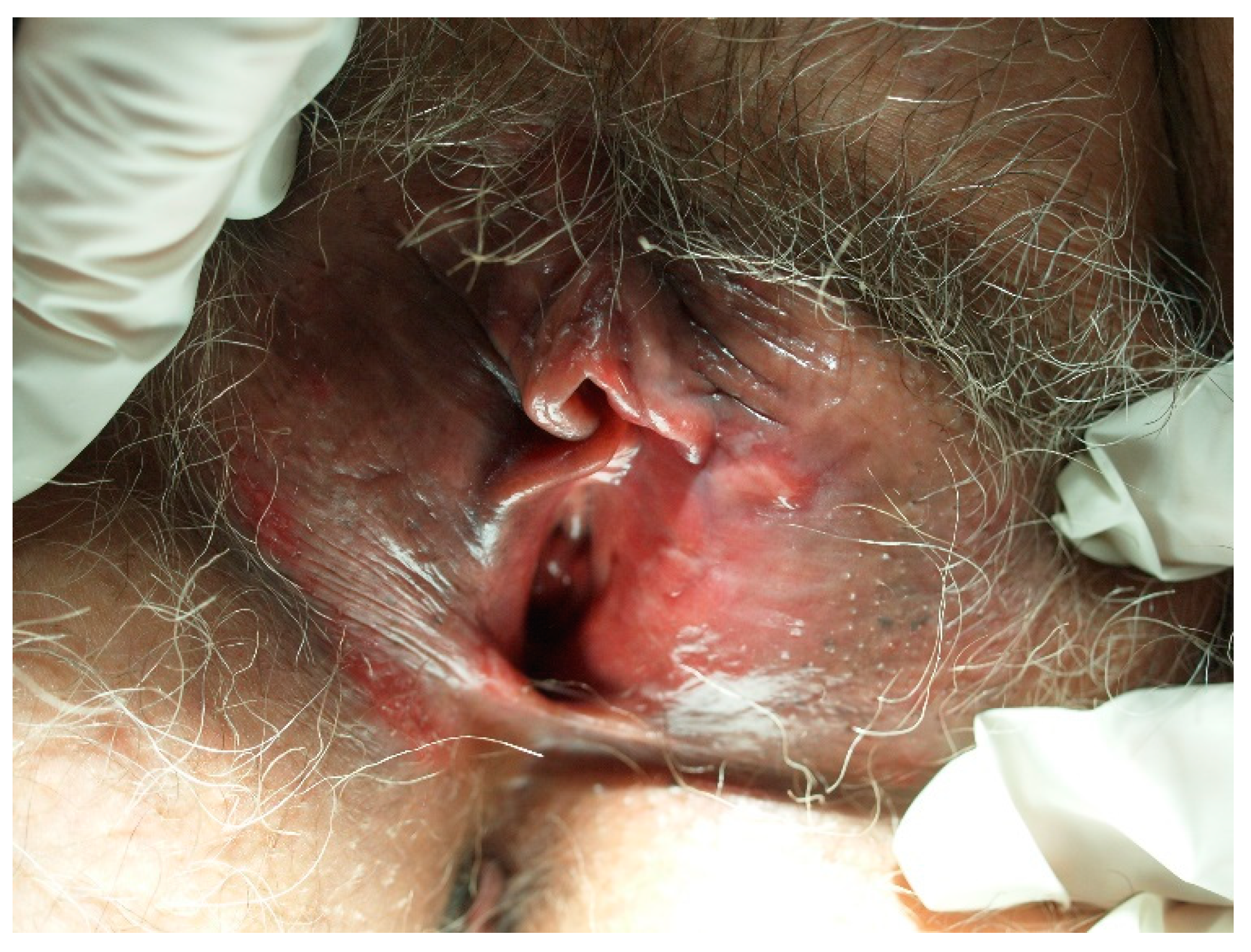 Diagnostics 14 01799 g002