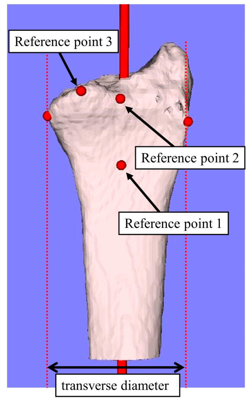 Diagnostics 14 01802 g001 Diagnostics 14 01802 g001
