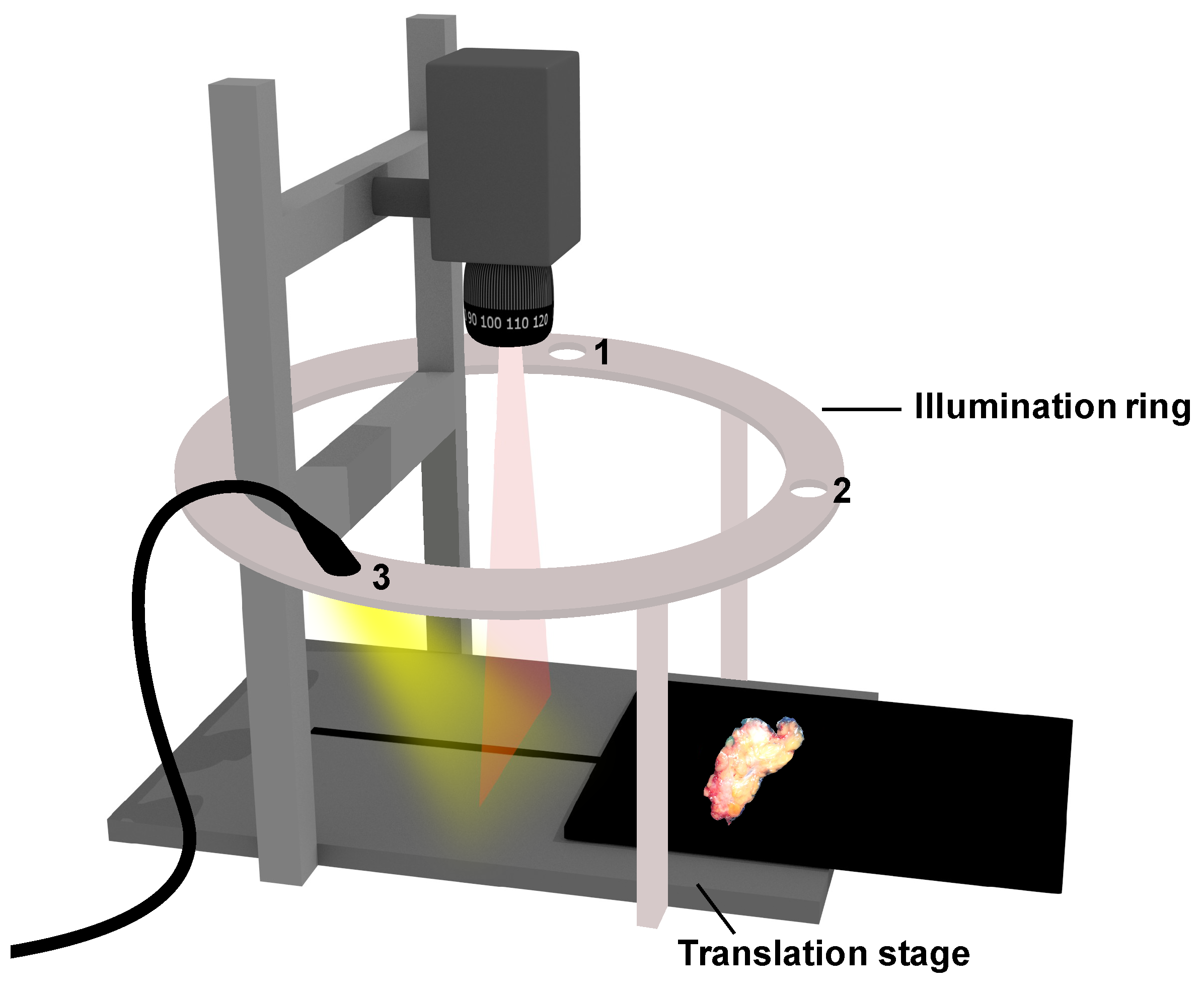 Diagnostics 14 01812 g003