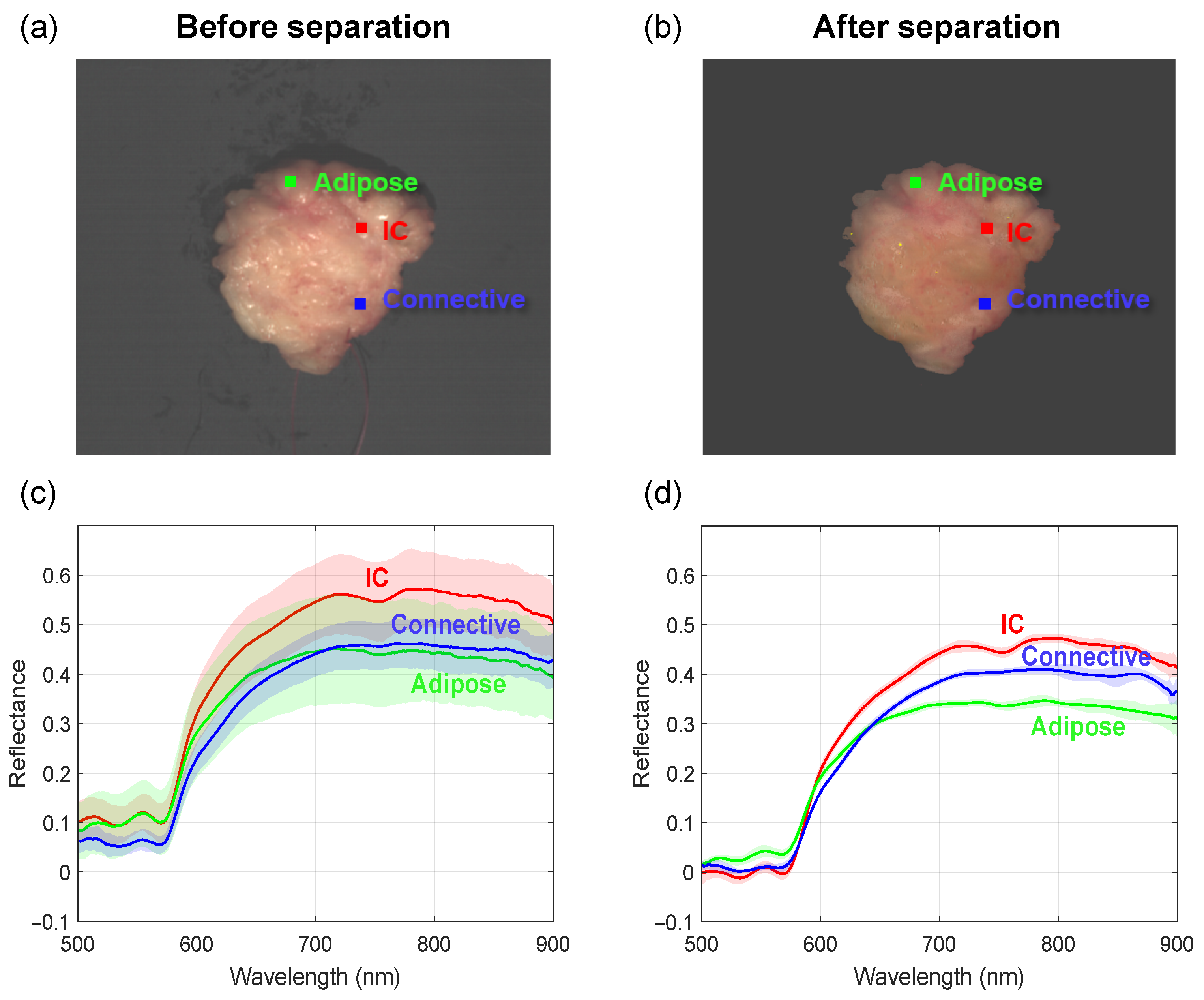 Diagnostics 14 01812 g007