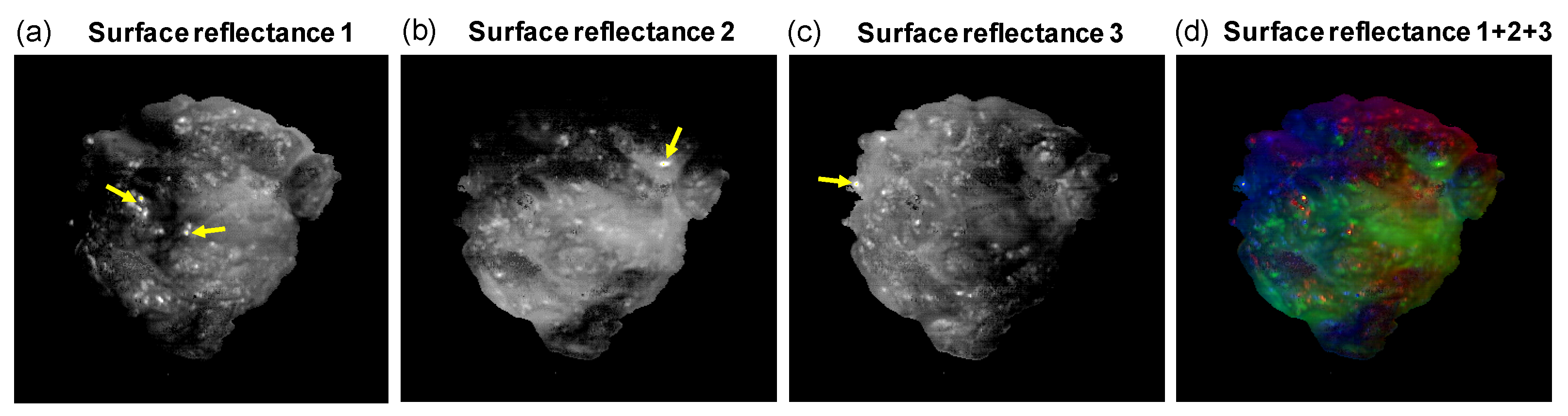 Diagnostics 14 01812 g008