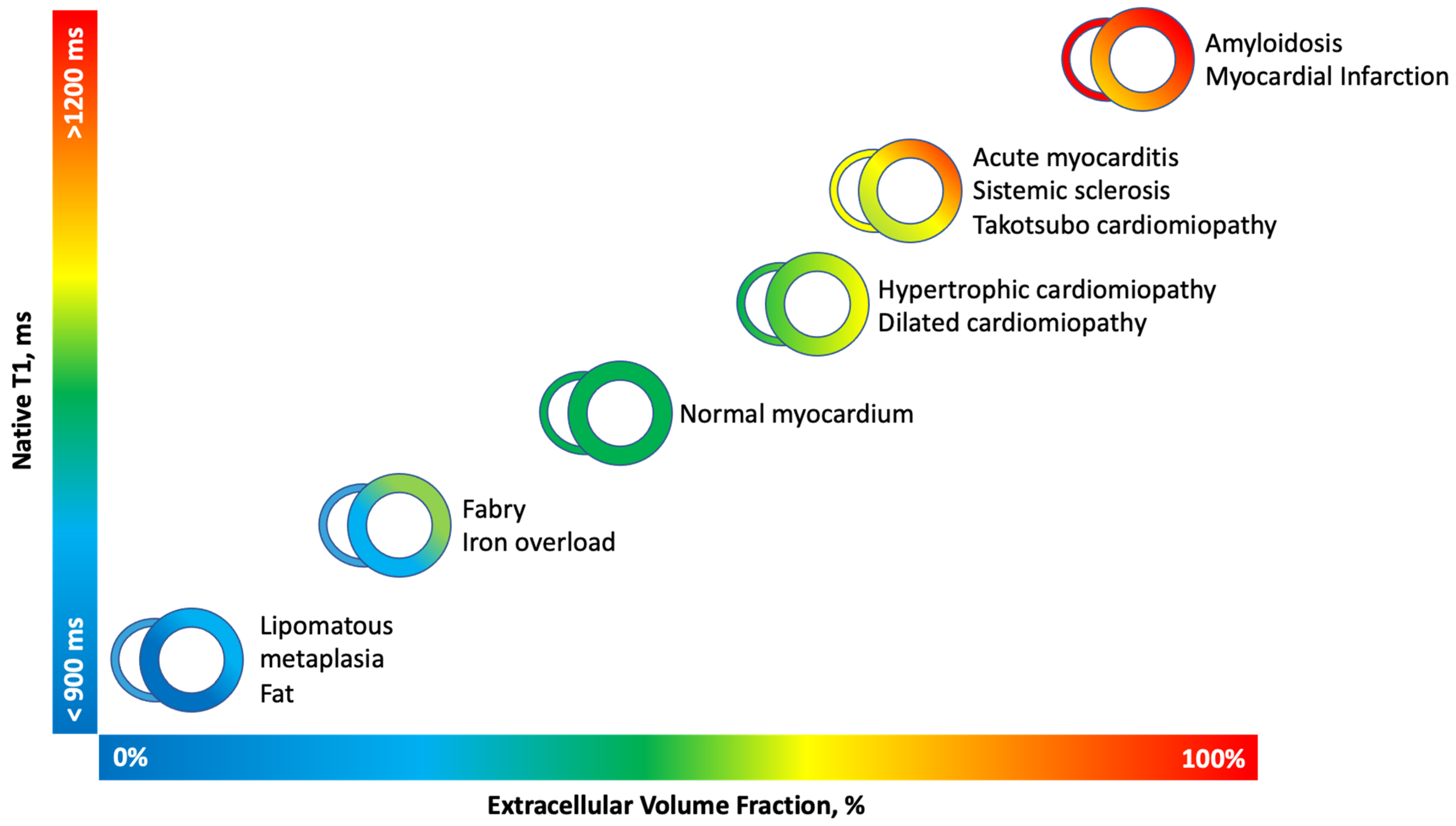 Diagnostics 14 01816 g002