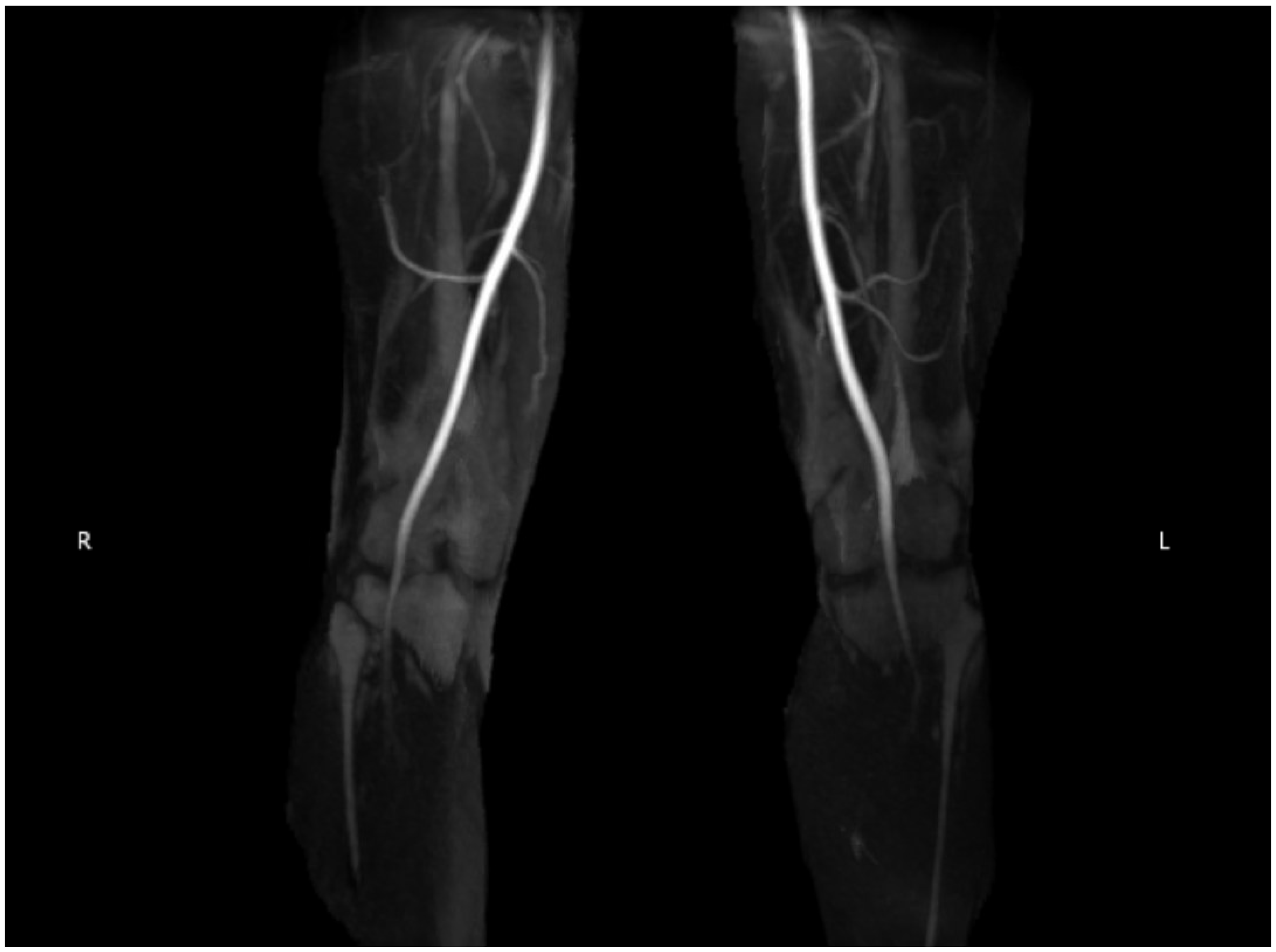 Diagnostics 14 01825 g002