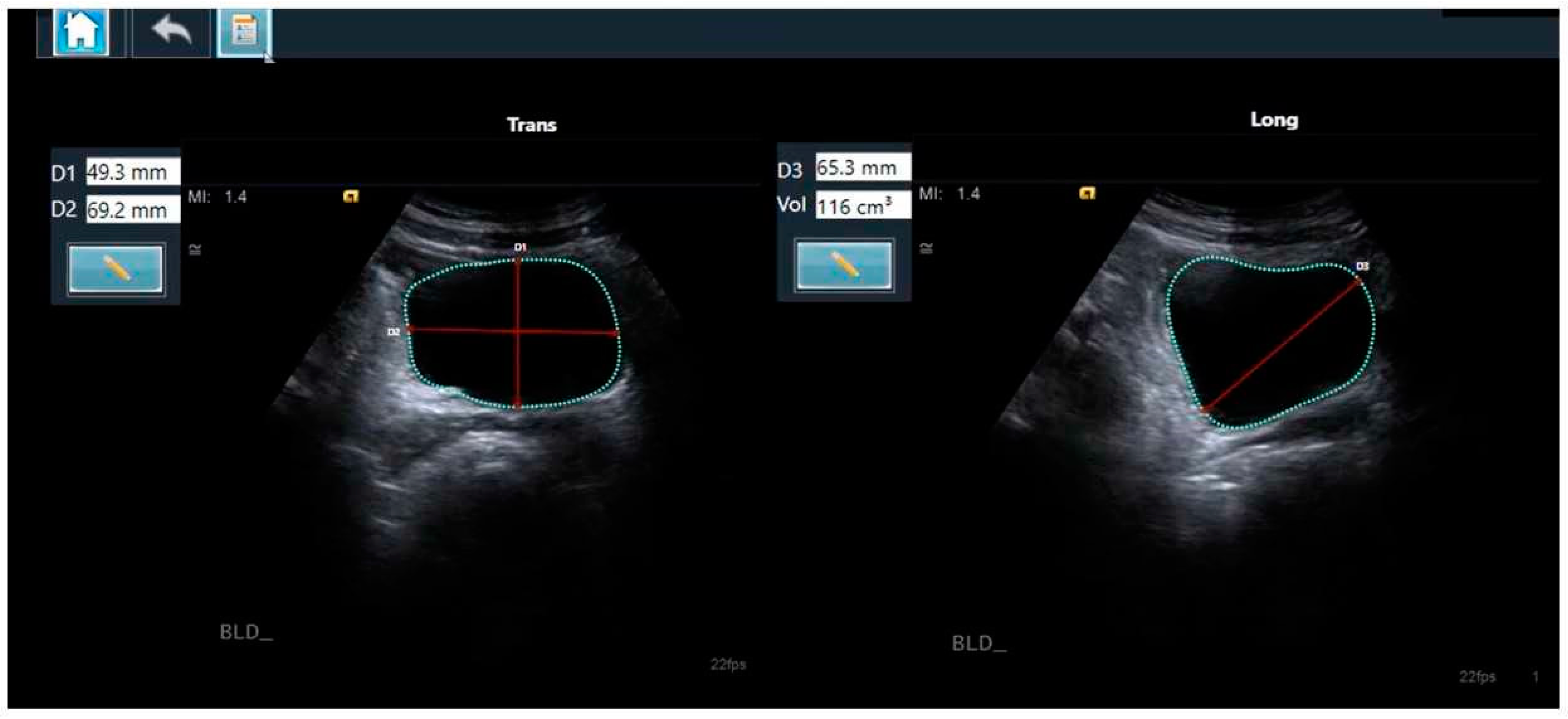 Diagnostics 14 01829 g001